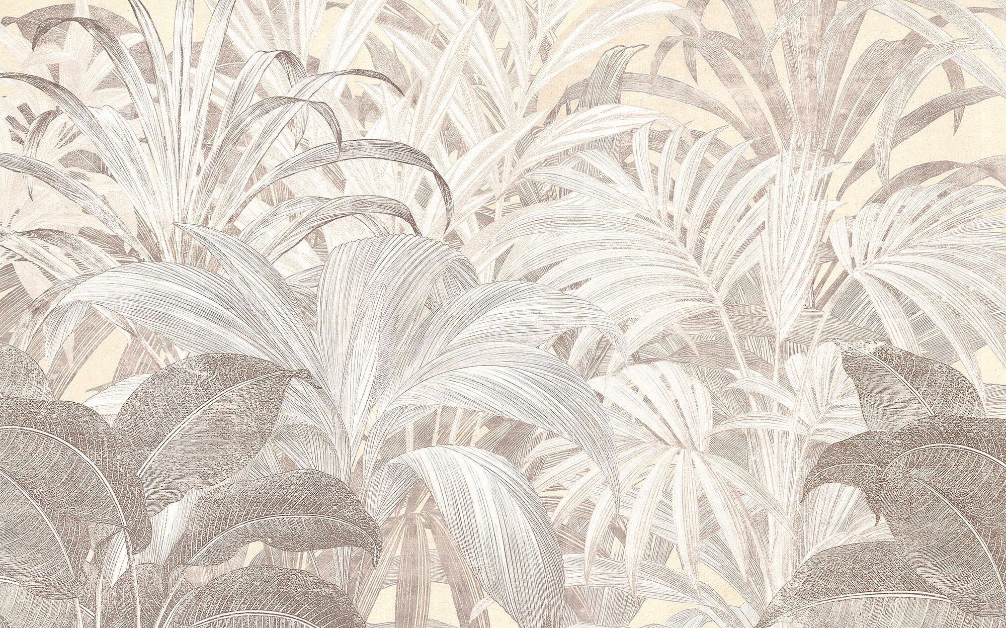 Image of Komar Vliestapete "Digitaldruck Vlies - Summery Spot - Grösse 400 x 250 cm" bedruckt glatt Wohnzimmer, Schlafzimmer