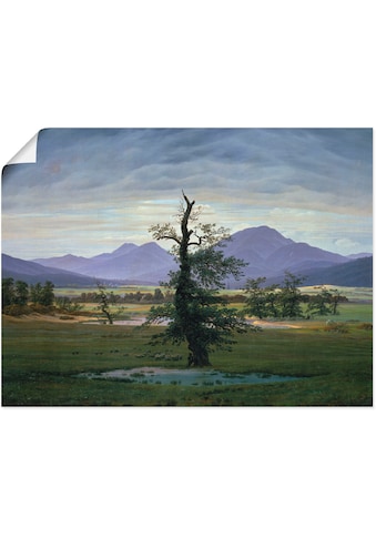 Kunstdruck »Der einsame Baum«, Wiesen & Bäume, (1 St.)
