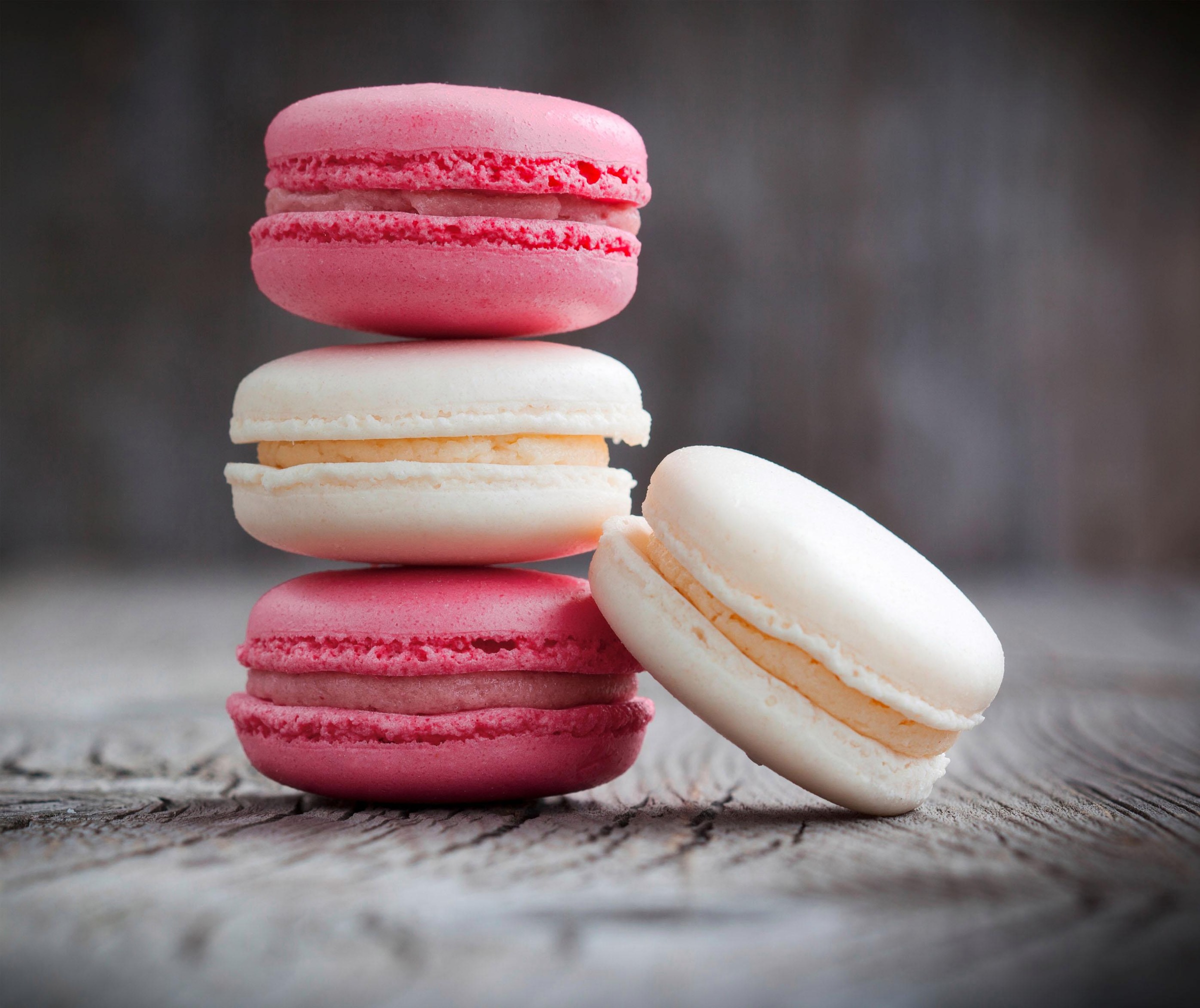 Image of WENKO Küchenrückwand »Macarons« bei Ackermann Versand Schweiz