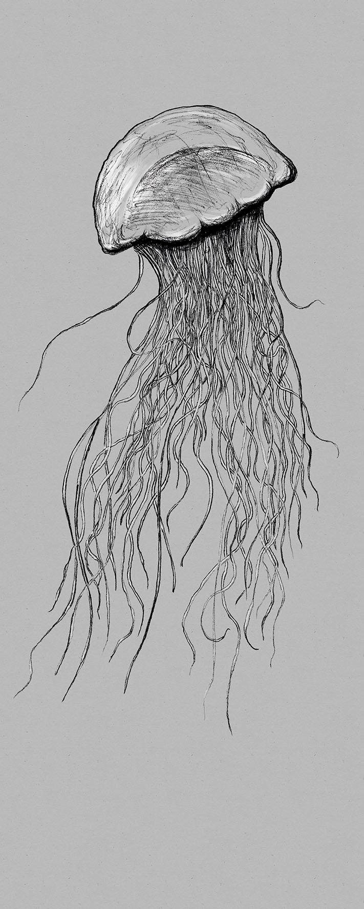 Image of Komar Vliestapete "Digitaldruck Vlies - Jellyfish Panel - Grösse 100 x 250 cm" bedruckt glatt Wohnzimmer, Schlafzimmer
