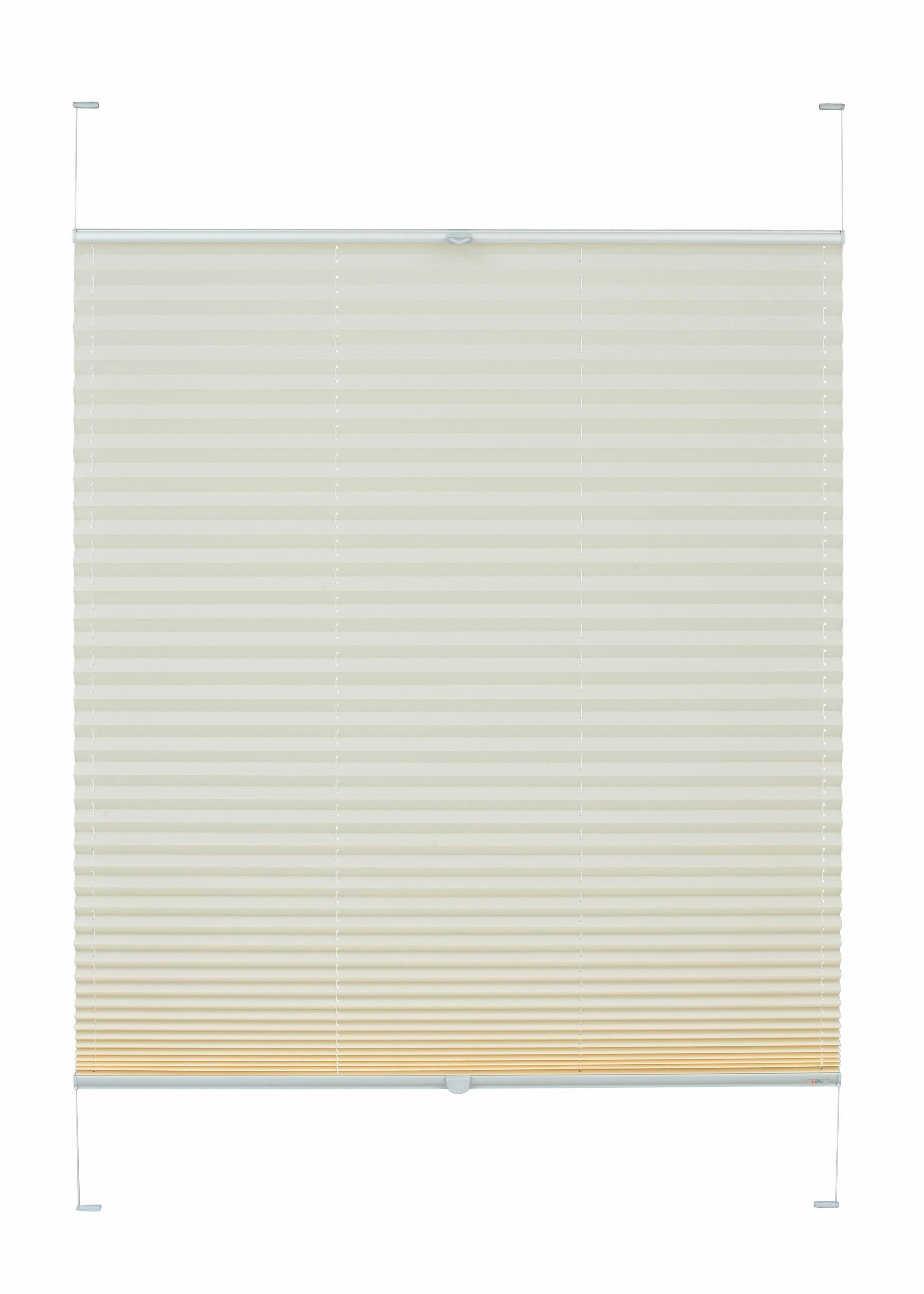 Image of sunlines Plissee nach Mass »Angela«, verdunkelnd, energiesparend, mit Bohren, verspannt bei Ackermann Versand Schweiz