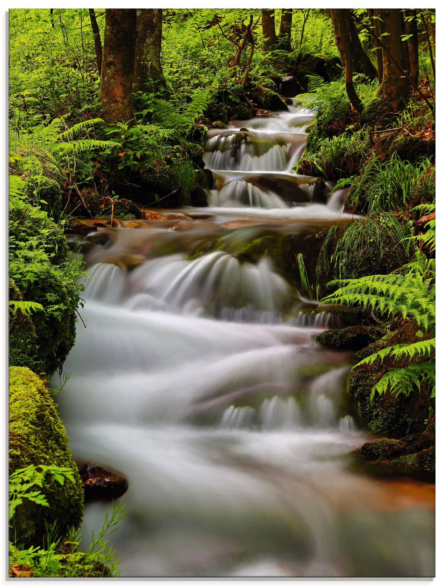 Image of Artland Glasbild »Schwarzwaldbach«, Gewässer, (1 St.) bei Ackermann Versand Schweiz