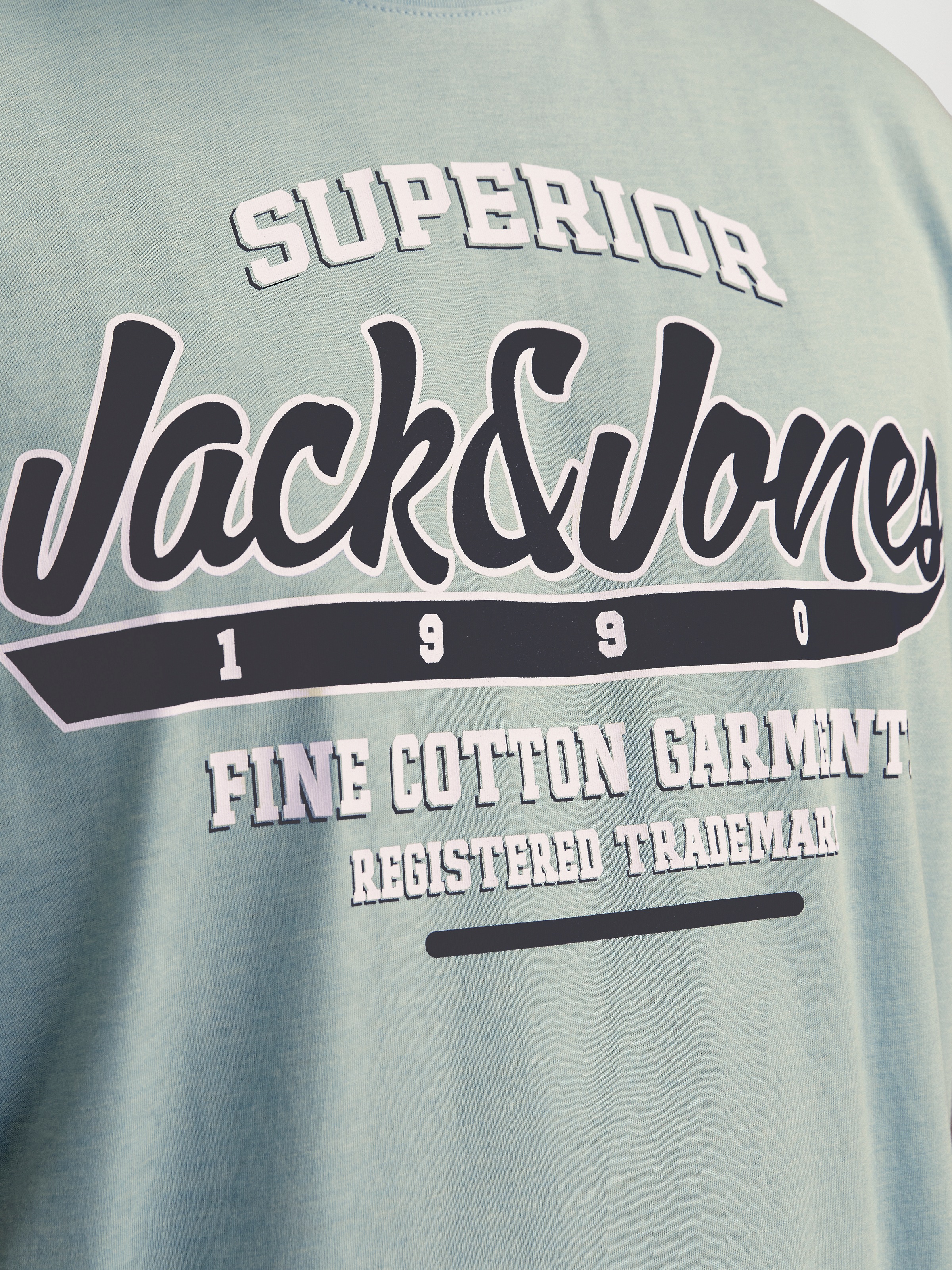 Jack & Jones PlusSize T-Shirt »JJELOGO TEE SS O-NECK 2 COL AW24 S PLS«, mit Frontprint