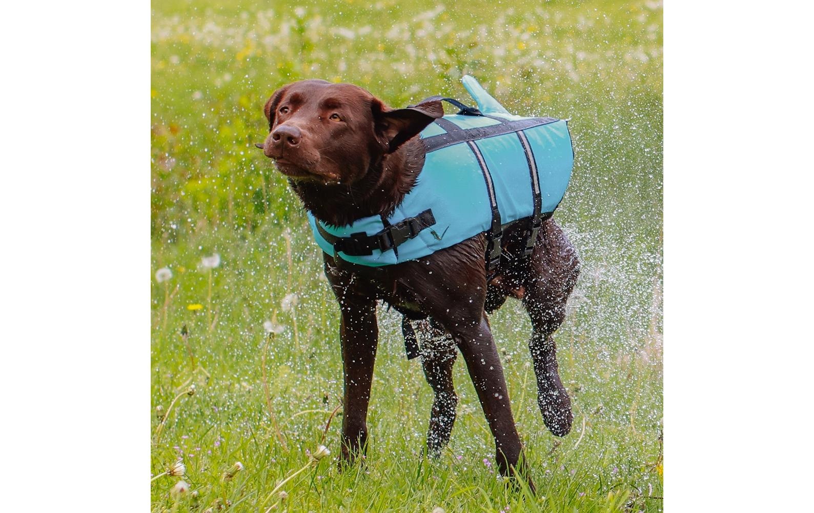 Nobby Hundeweste »Sharki L, 40 cm, Blau«