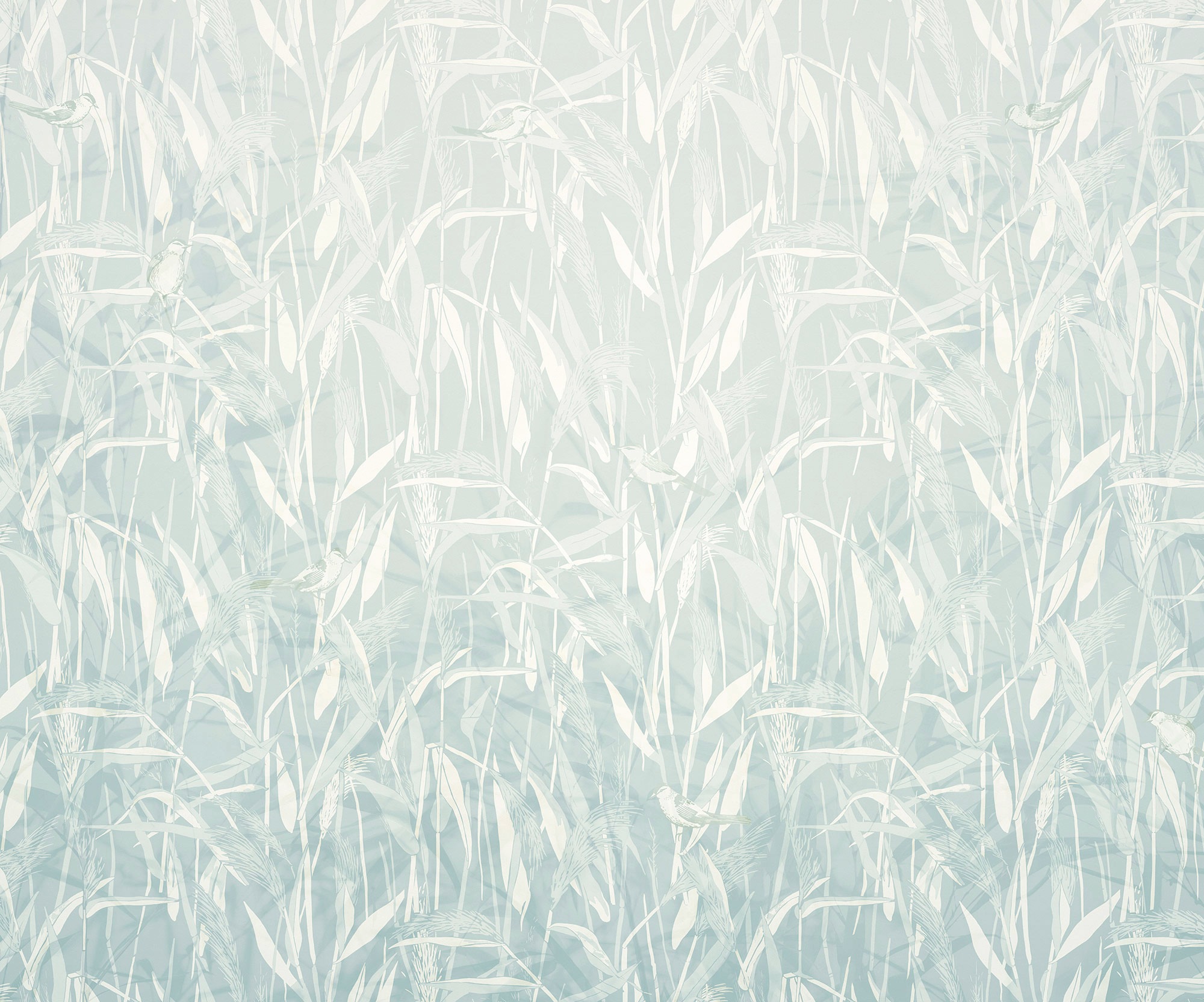 Image of Komar Vliestapete "Digitaldruck Vlies - Reed - Grösse 300 x 250 cm" bedruckt glatt Wohnzimmer, Schlafzimmer