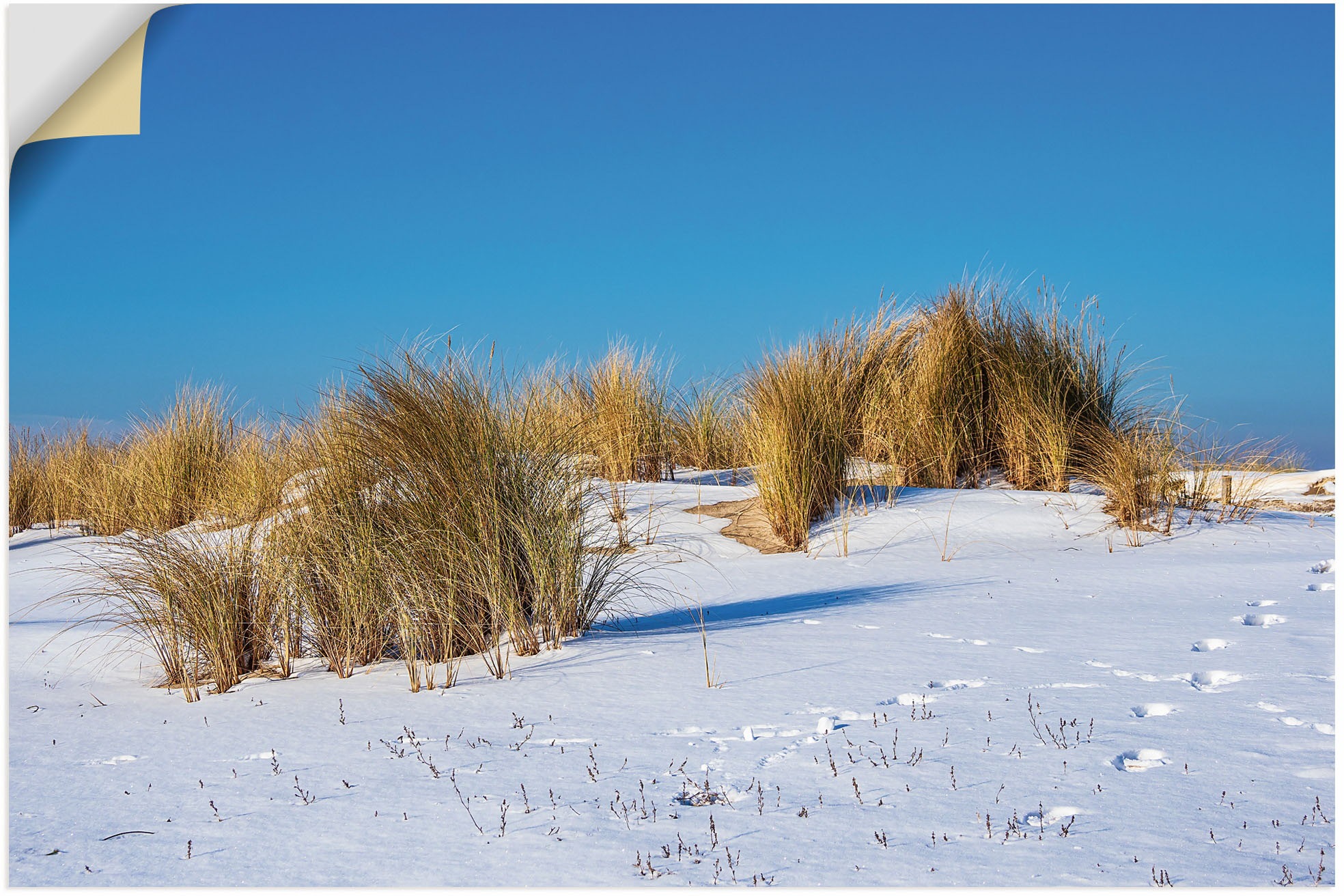 Image of Artland Wandbild »Düne, Ostseeküste Warnemünde im Winter«, Strandbilder, (1 St.), in vielen Grössen & Produktarten - Alubild / Outdoorbild für den Aussenbereich, Leinwandbild, Poster, Wandaufkleber / Wandtattoo auch für Badezimmer geeignet bei Ackermann V