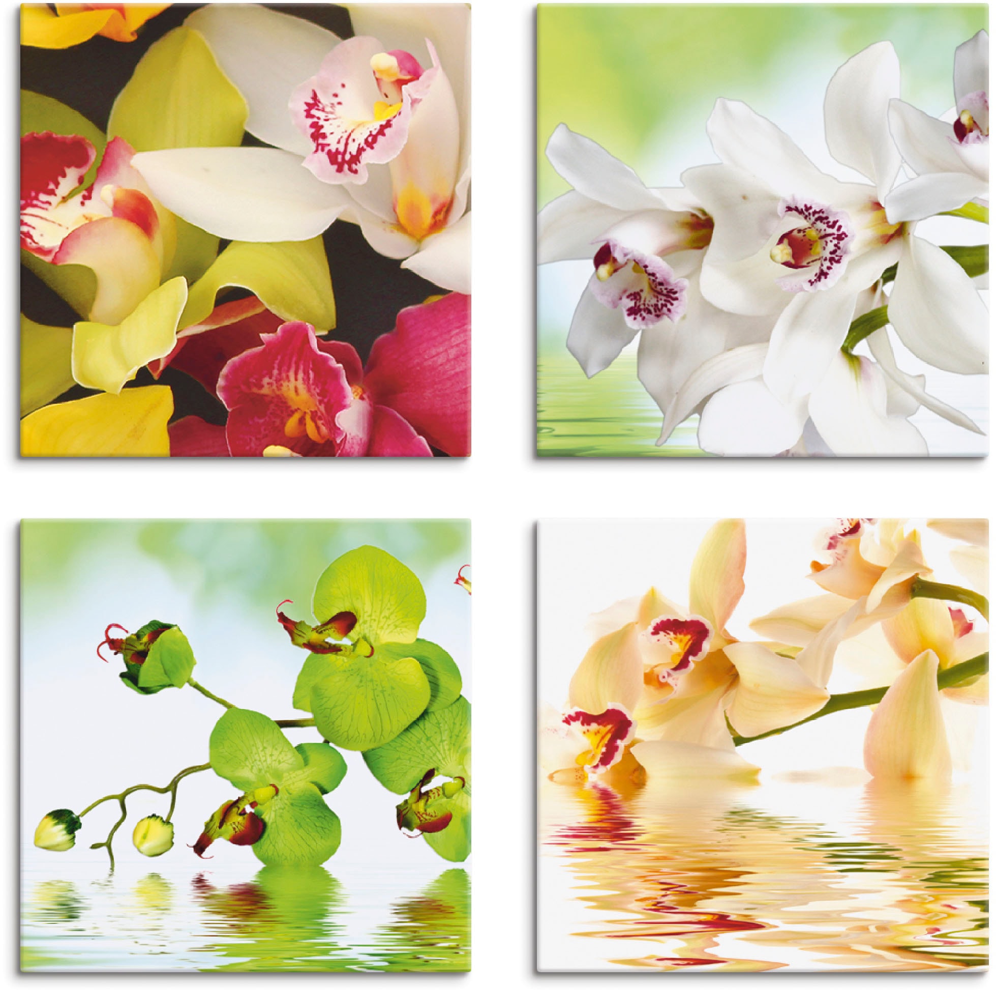 Image of Artland Leinwandbild "Orchideen Blumen" Blumen 4 Stk. tlg. 4er Set, verschiedene Grössen