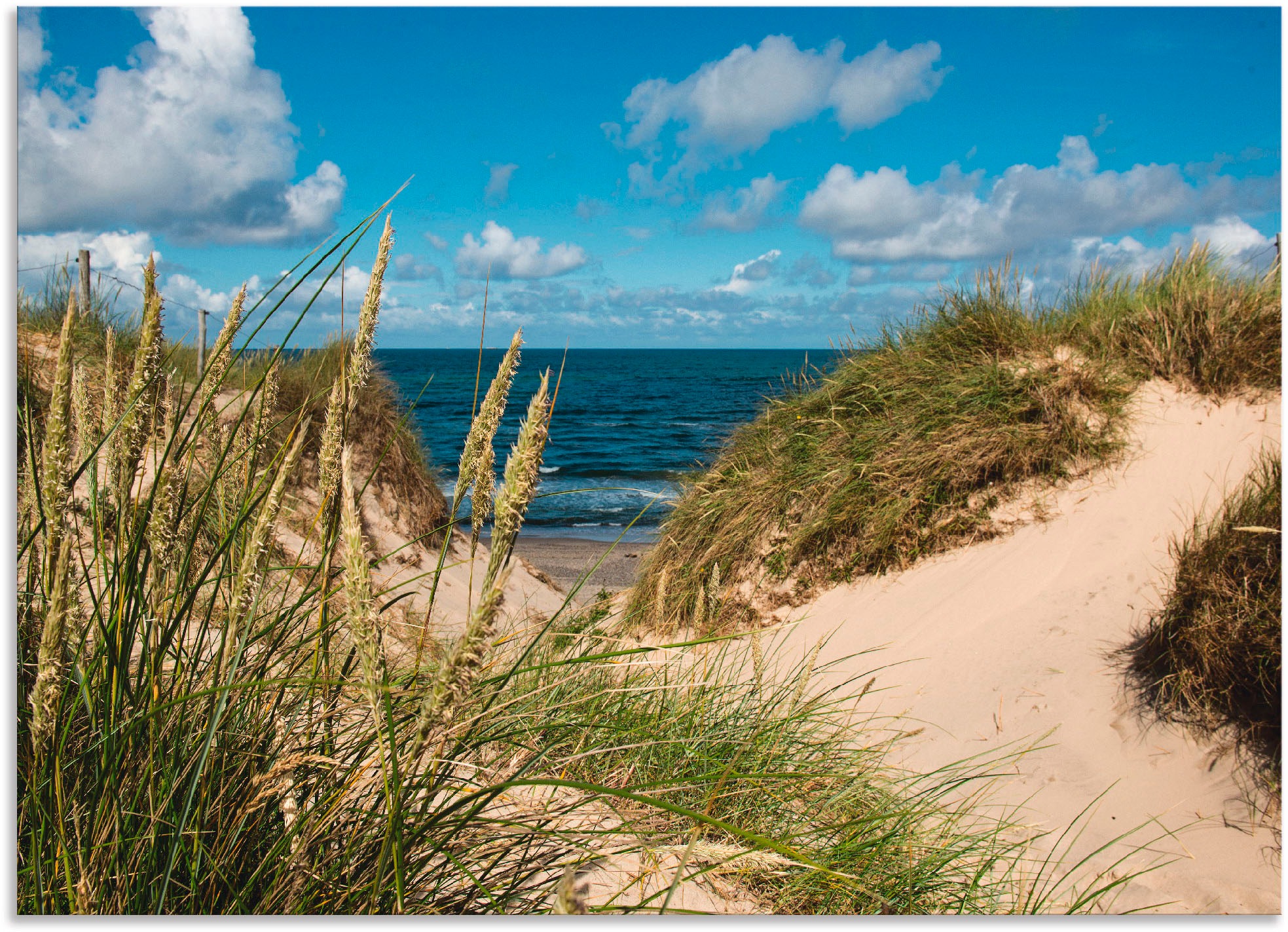 Image of Artland Wandbild »Strand bei Vesterhav«, Strand, (1 St.), in vielen Grössen & Produktarten - Alubild / Outdoorbild für den Aussenbereich, Leinwandbild, Poster, Wandaufkleber / Wandtattoo auch für Badezimmer geeignet bei Ackermann Versand Schweiz