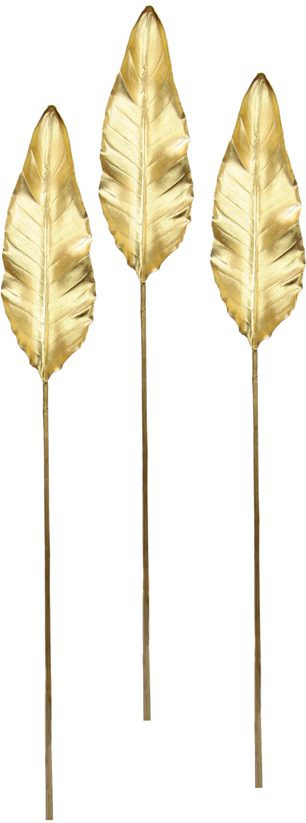 Image of I.GE.A. Kunstpflanze »Strelitzienblatt«, (3 St.), Kunstzweig, 3er Set bei Ackermann Versand Schweiz