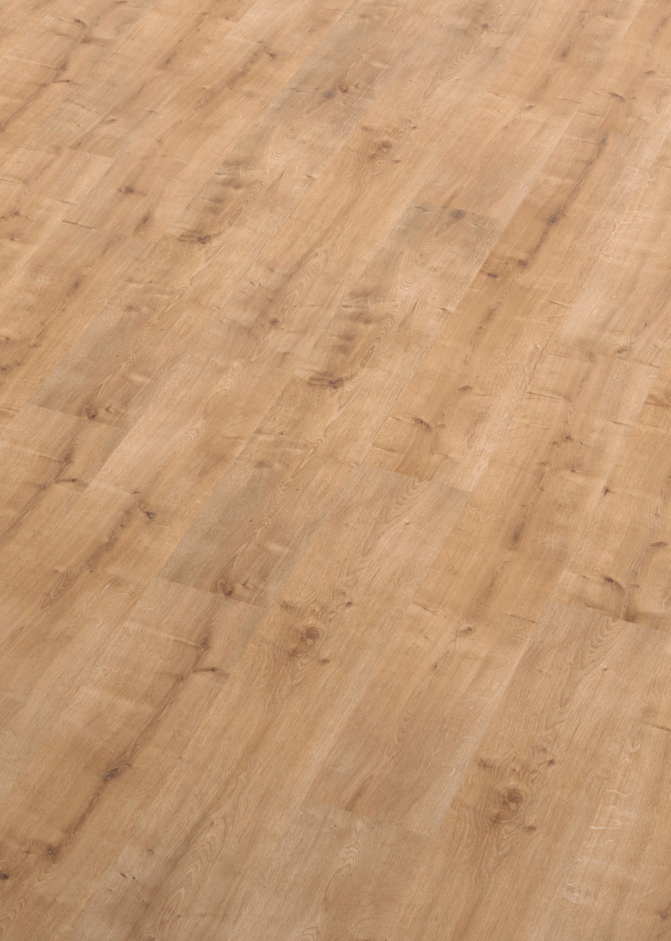 Image of ter Hürne Laminat »Eiche dünenbeige«, mit fühlbarer Oberfläche und Klicksystem bei Ackermann Versand Schweiz