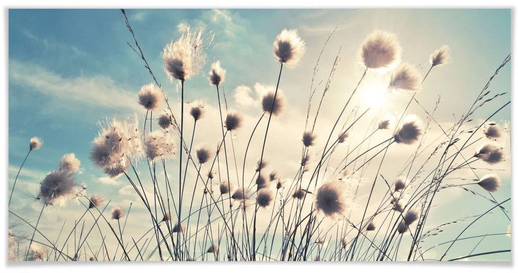 Image of Wall-Art Poster »Abendlicht«, Schriftzug, (1 St.) bei Ackermann Versand Schweiz