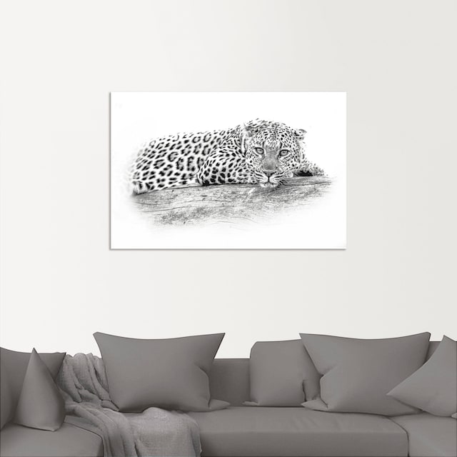 Artland Wandbild »Leopard High Key Optik«, Wildtiere, (1 St.), als Alubild,  Leinwandbild, Wandaufkleber oder Poster in versch. Grössen