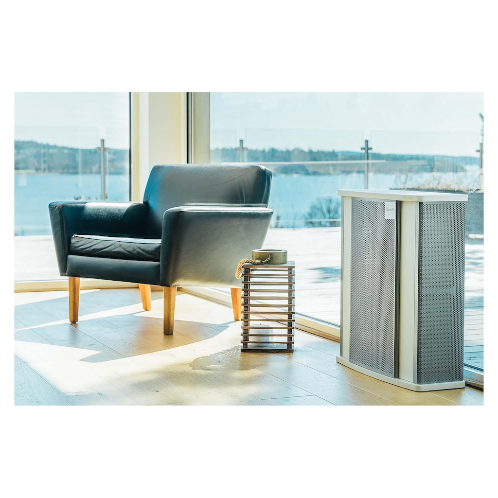 Luftreiniger »Wood's ELFI 899«, für 160 m² Räume