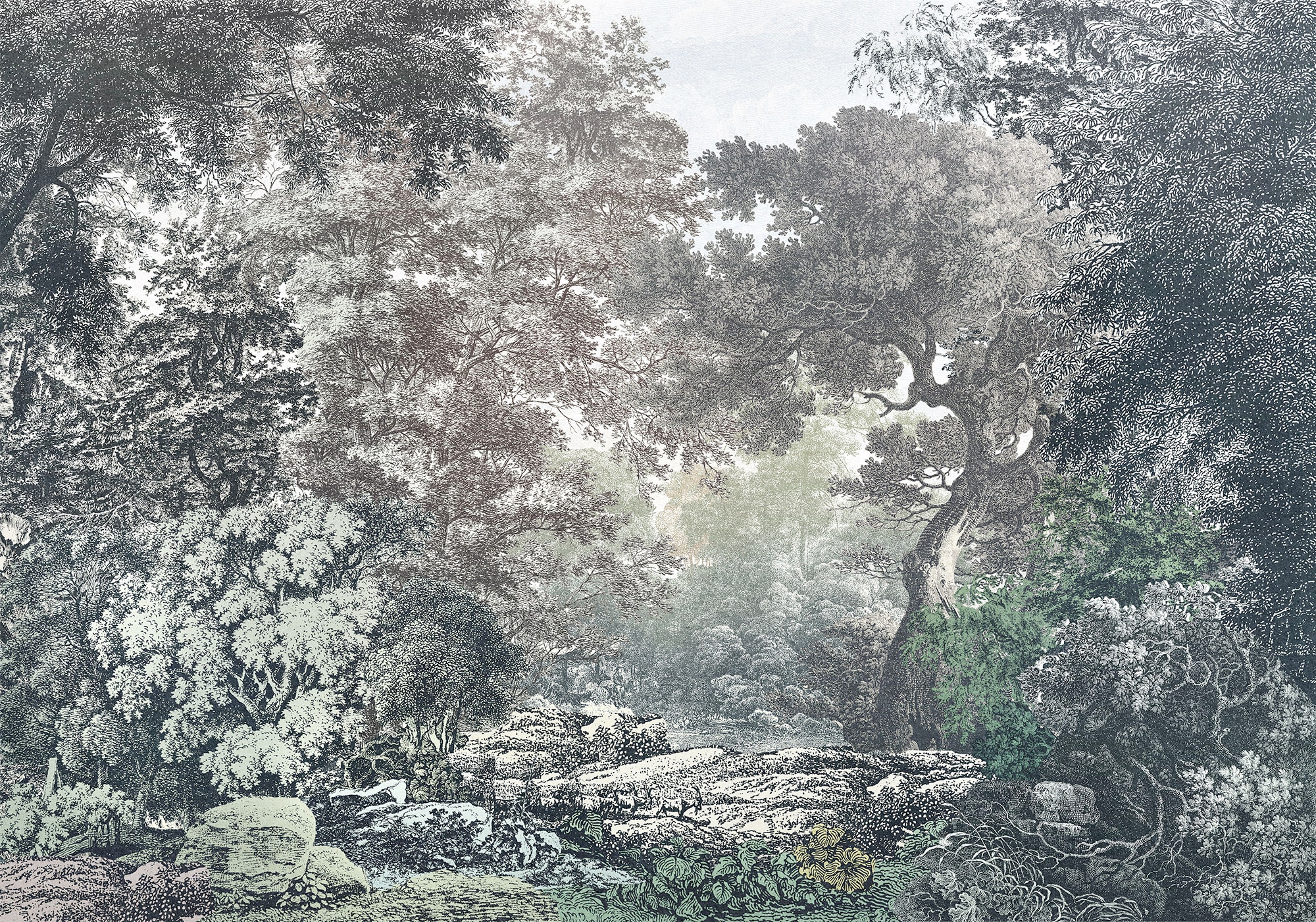 Image of Komar Fototapete "Digitaldruck Vlies - Fairytale Forest - Grösse 400 x 280 cm" bedruckt glatt Vlies Fototapete - Fairytale Forest - Grösse 400 x 280 cm