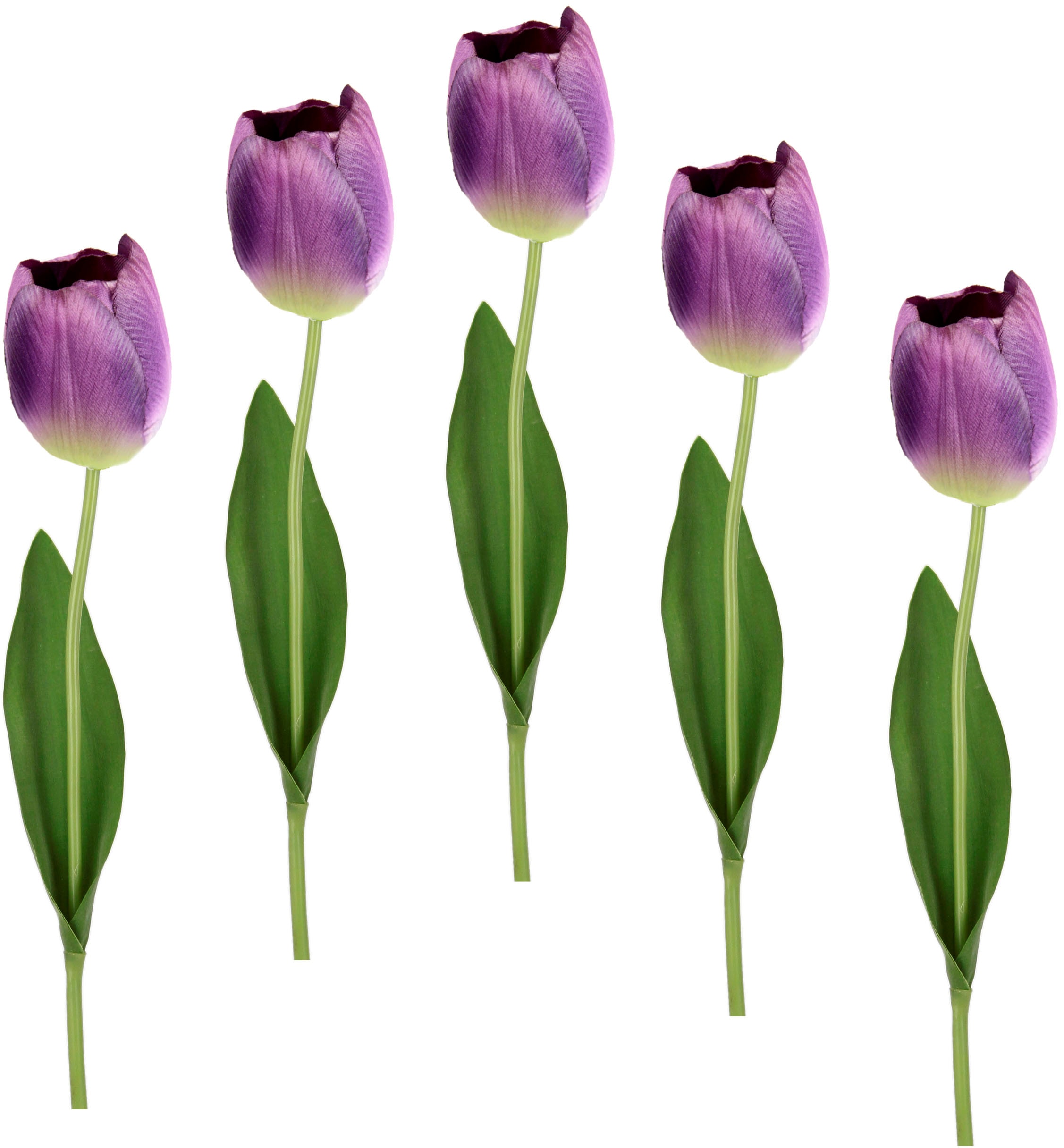 I.GE.A. Kunstblume »Real Touch Tulpen«, Set künstliche Stielblume jetzt 5er Kunstblumen, Tulpenknospen, kaufen