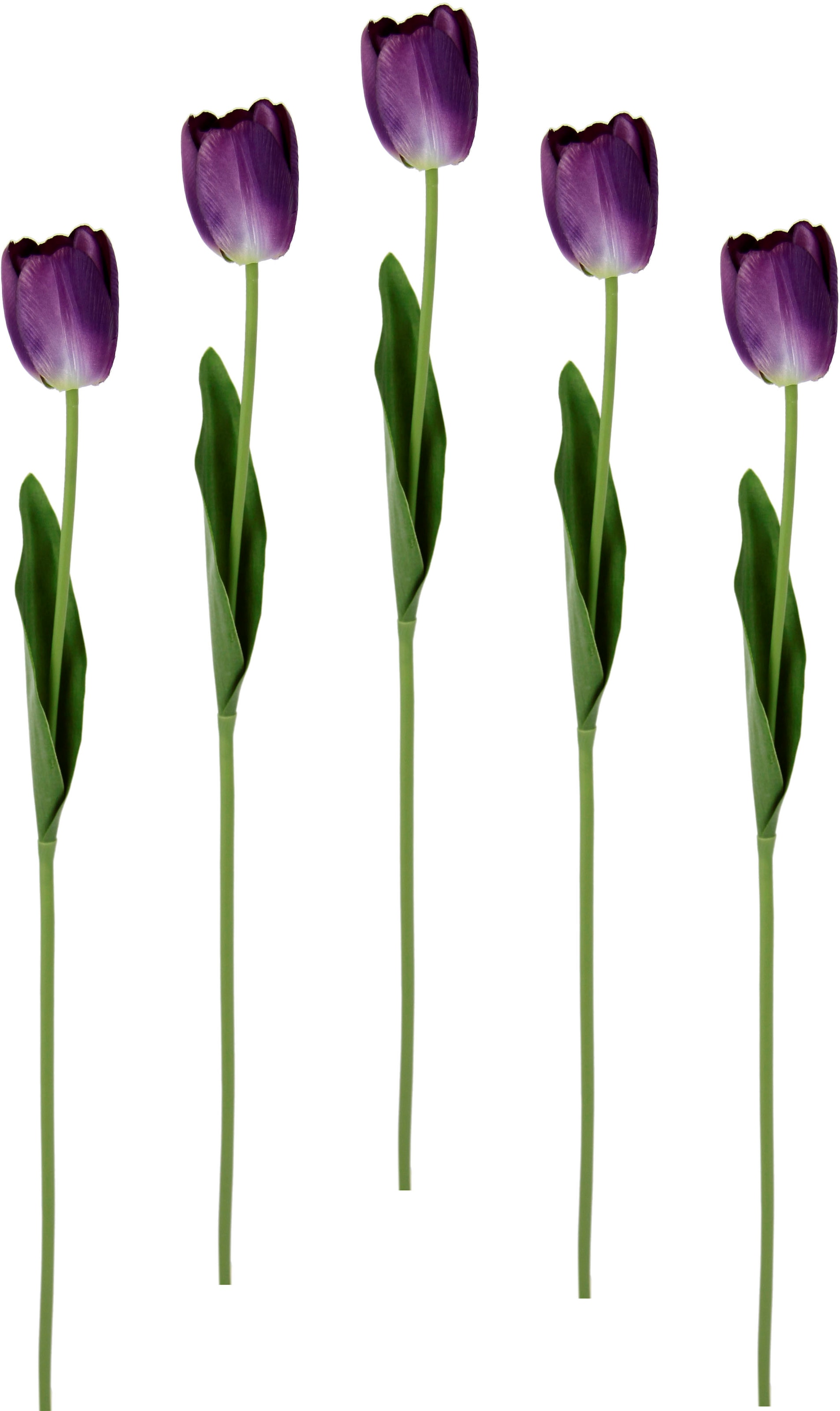 I.GE.A. Kunstblume »Real Touch Tulpen«, 5er Set künstliche Tulpenknospen, Kunstblumen, Stielblume