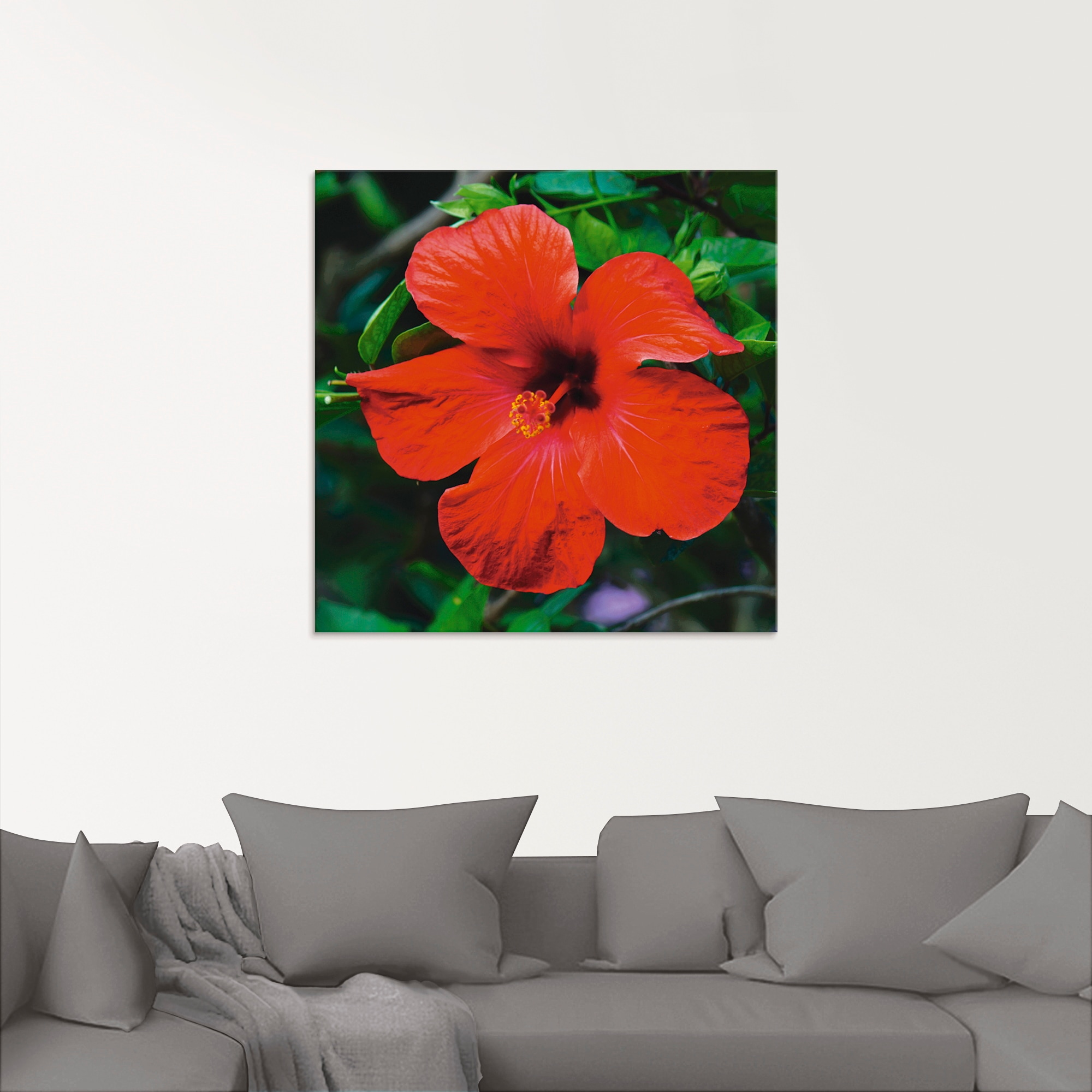 Artland Glasbild »Hawaiiblume«, Blumen, (1 St.), in verschiedenen Grössen