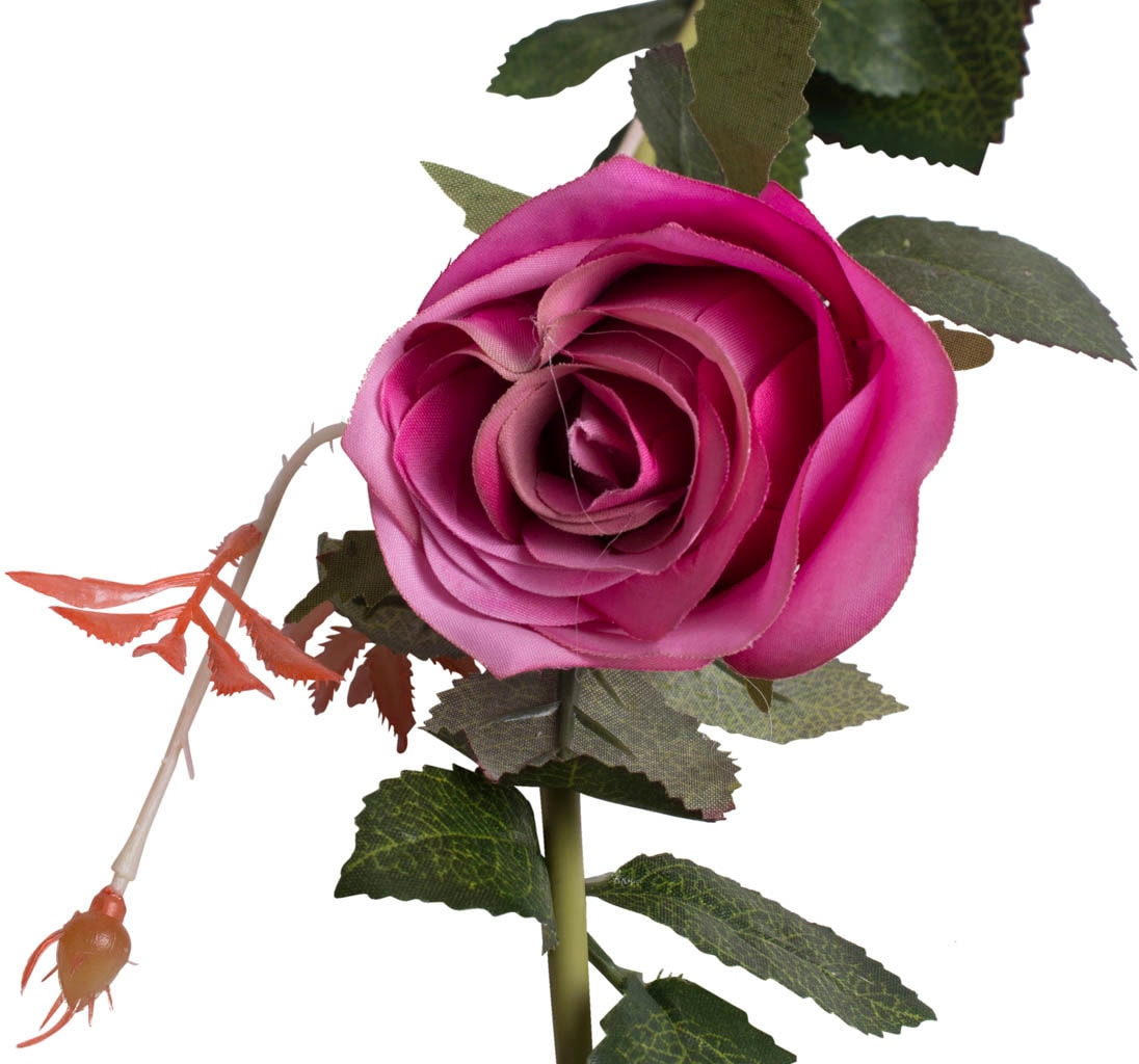 Botanic-Haus Kunstblume Dijon« »Rosengirlande kaufen günstig