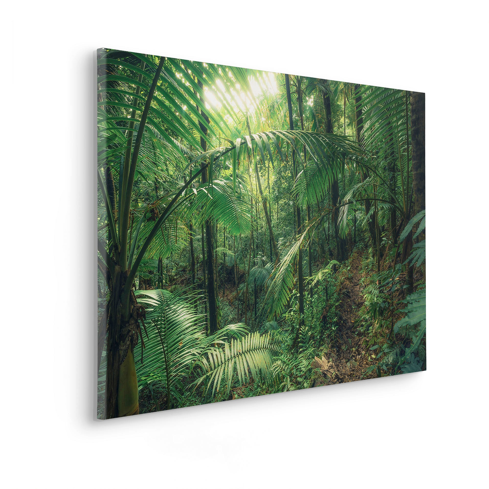 Komar Leinwandbild »Jungleflair - Grösse 90 x 60 cm«, Baum-Blätter-Natur-Berge-Blumen-Foto-Jahreszeiten-Landschaft-Meer-Strand-Palmen, (Packung, 1 St.), Keilrahmenbild mi Echtholzrahmen