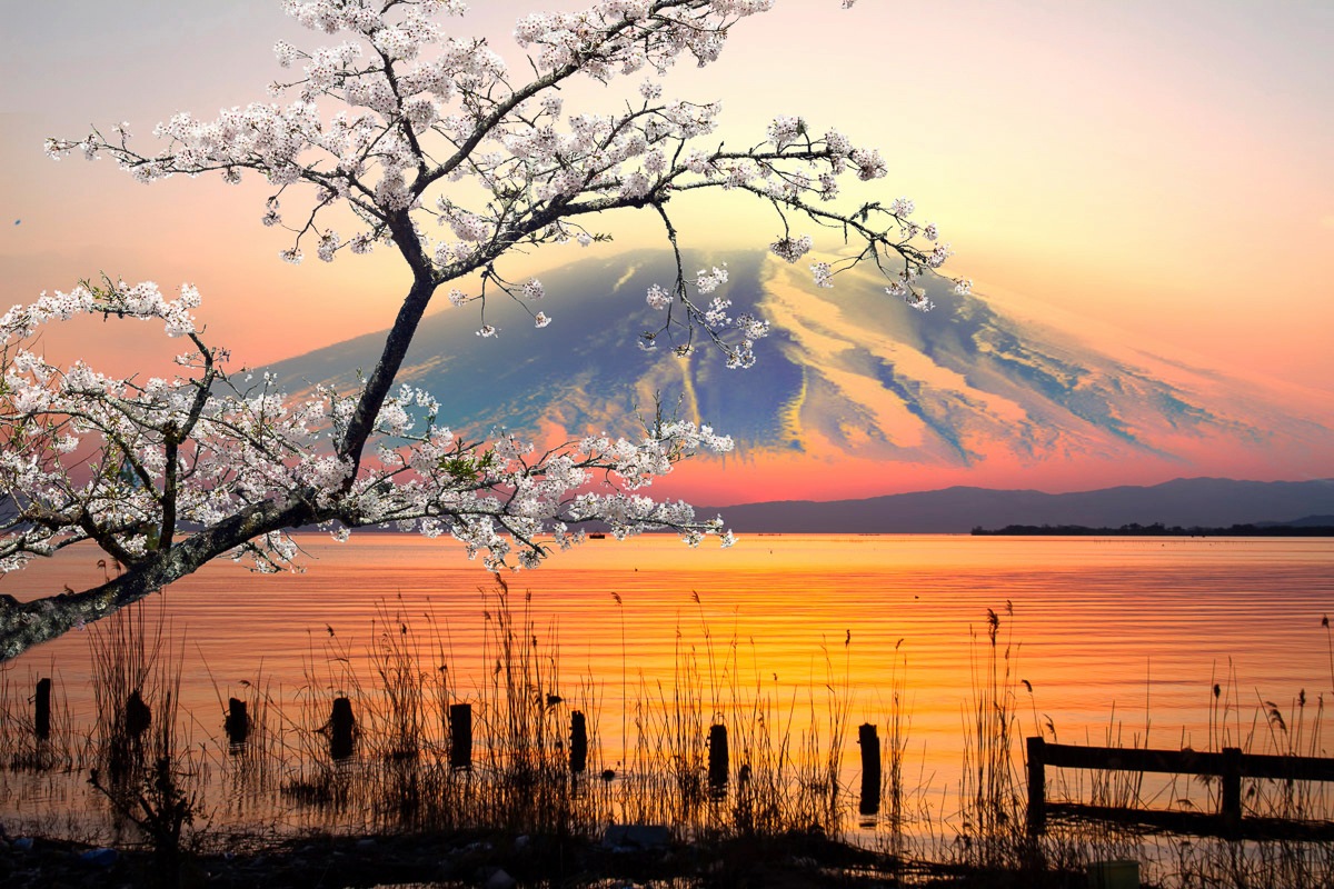 Image of Papermoon Fototapete »See vor Mount Fuji«, Vliestapete, hochwertiger Digitaldruck, inklusive Kleister bei Ackermann Versand Schweiz