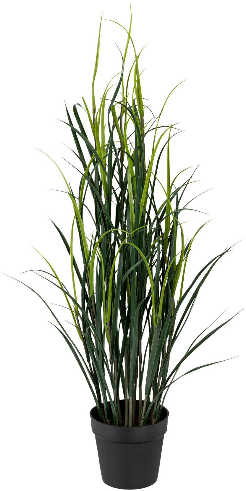 Image of Creativ green Kunstgras »Kunststoffgras«, (1 St.) bei Ackermann Versand Schweiz