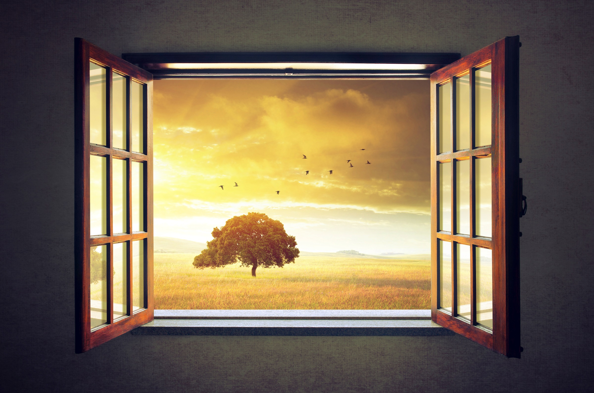 Image of Papermoon Fototapete »Sunny Spring«, matt, BlueBack, 7 Bahnen, 350 x 260 cm bei Ackermann Versand Schweiz