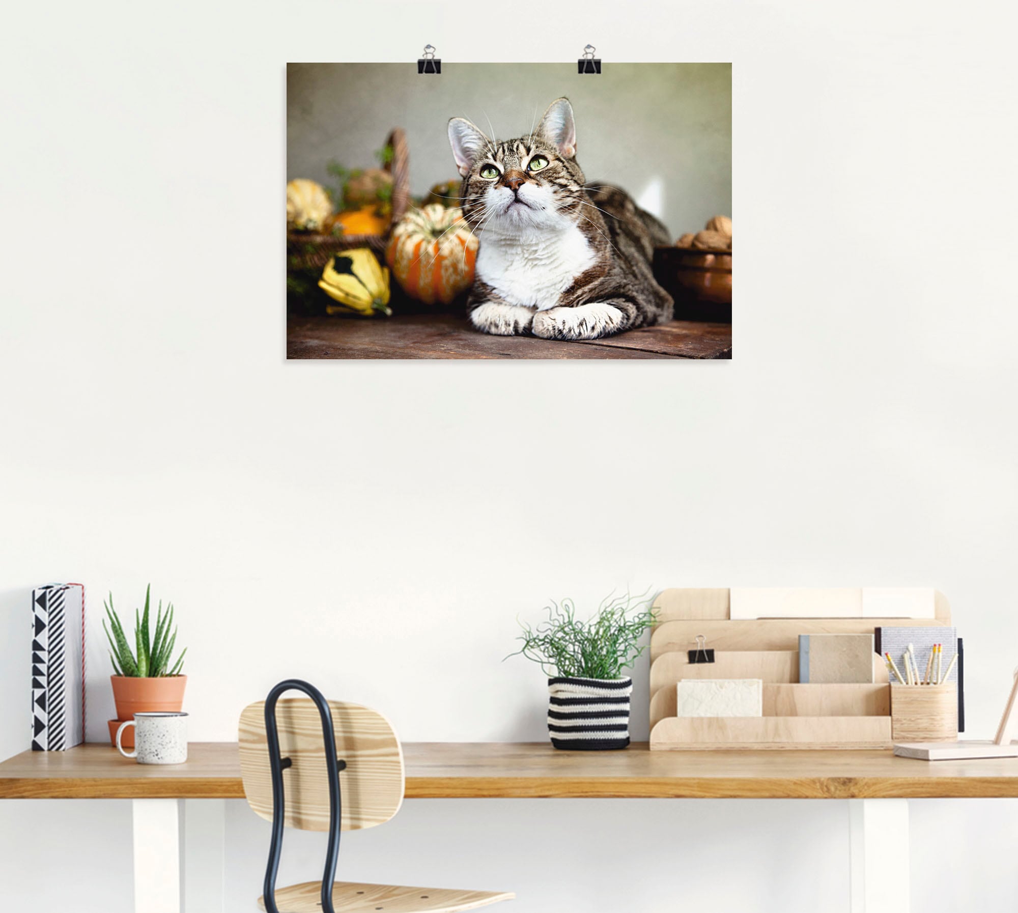 Artland Poster »Katze und Herbstdeko«, Haustiere, (1 St.), als Alubild, Leinwandbild, Wandaufkleber oder Poster in versch. Grössen