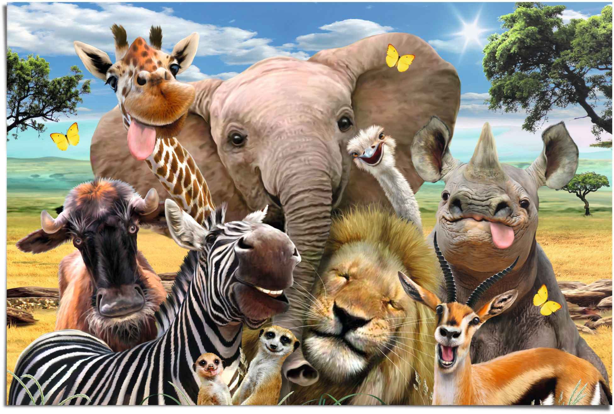 Image of Reinders Poster "Lustige Wildtiere" 1 Stk. tlg.