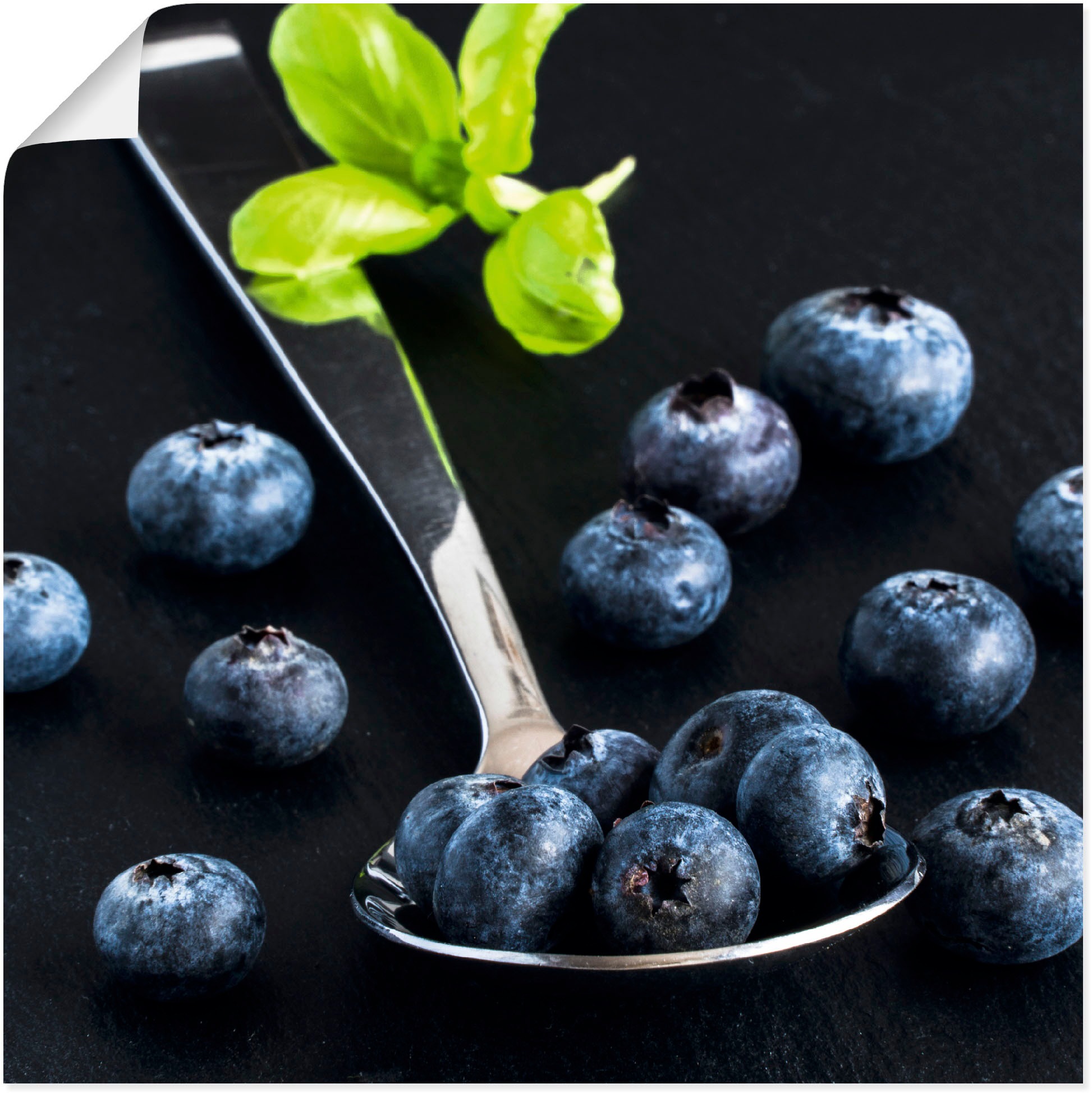 Image of Artland Wandbild »Heidelbeeren, gesund und lecker«, Obst Bilder, (1 St.), in vielen Grössen & Produktarten - Alubild / Outdoorbild für den Aussenbereich, Leinwandbild, Poster, Wandaufkleber / Wandtattoo auch für Badezimmer geeignet bei Ackermann Versand S