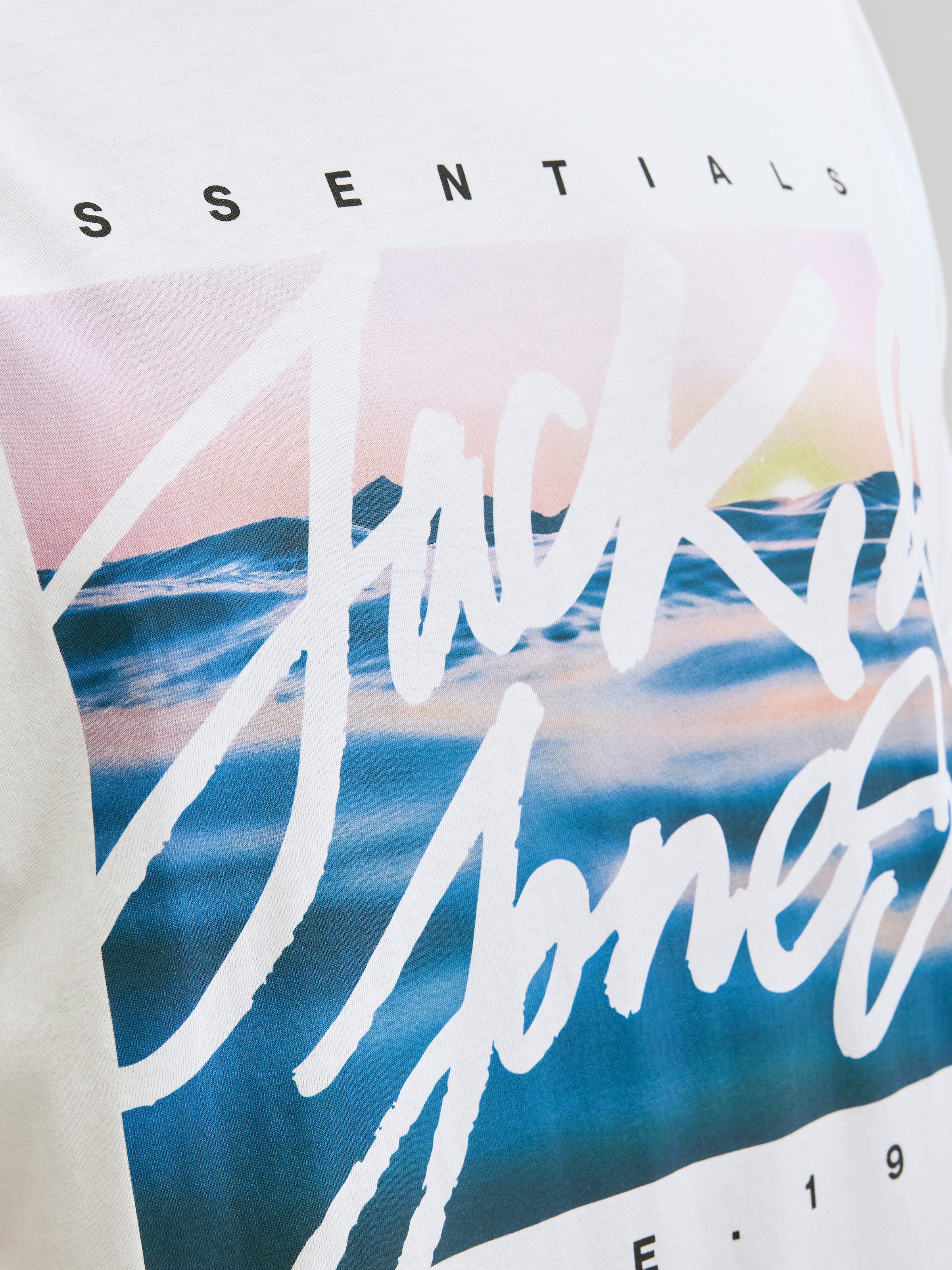 Jack & Jones PlusSize Print-Shirt »JJCOLTON PHOTOPRINT TEE SS CREW NE PLS«
