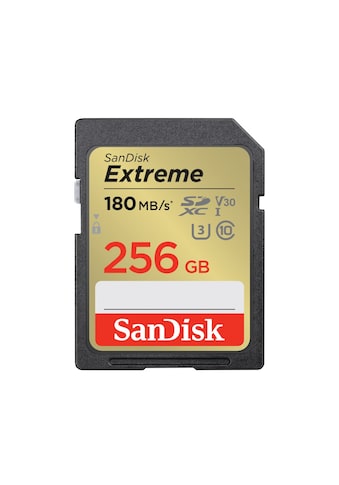 Speicherkarte »SDXC Extreme 256GB (180/130 MB/s R/W), 1 Jahr RescuePRO Deluxe«, (UHS...