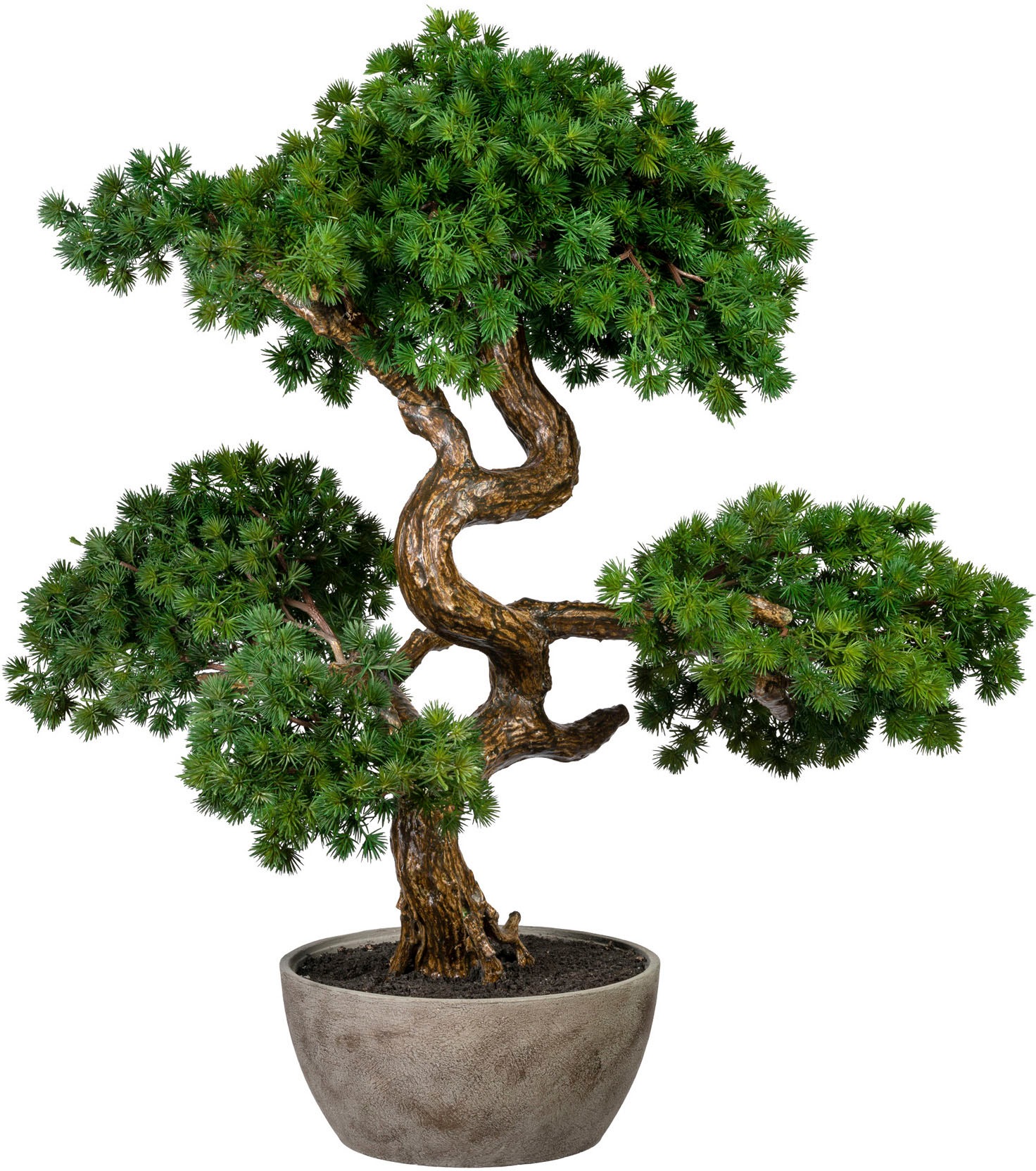 Image of Creativ green Kunstbonsai »Bonsai Lärche«, (1 St.), in Schale aus Naturmaterial bei Ackermann Versand Schweiz