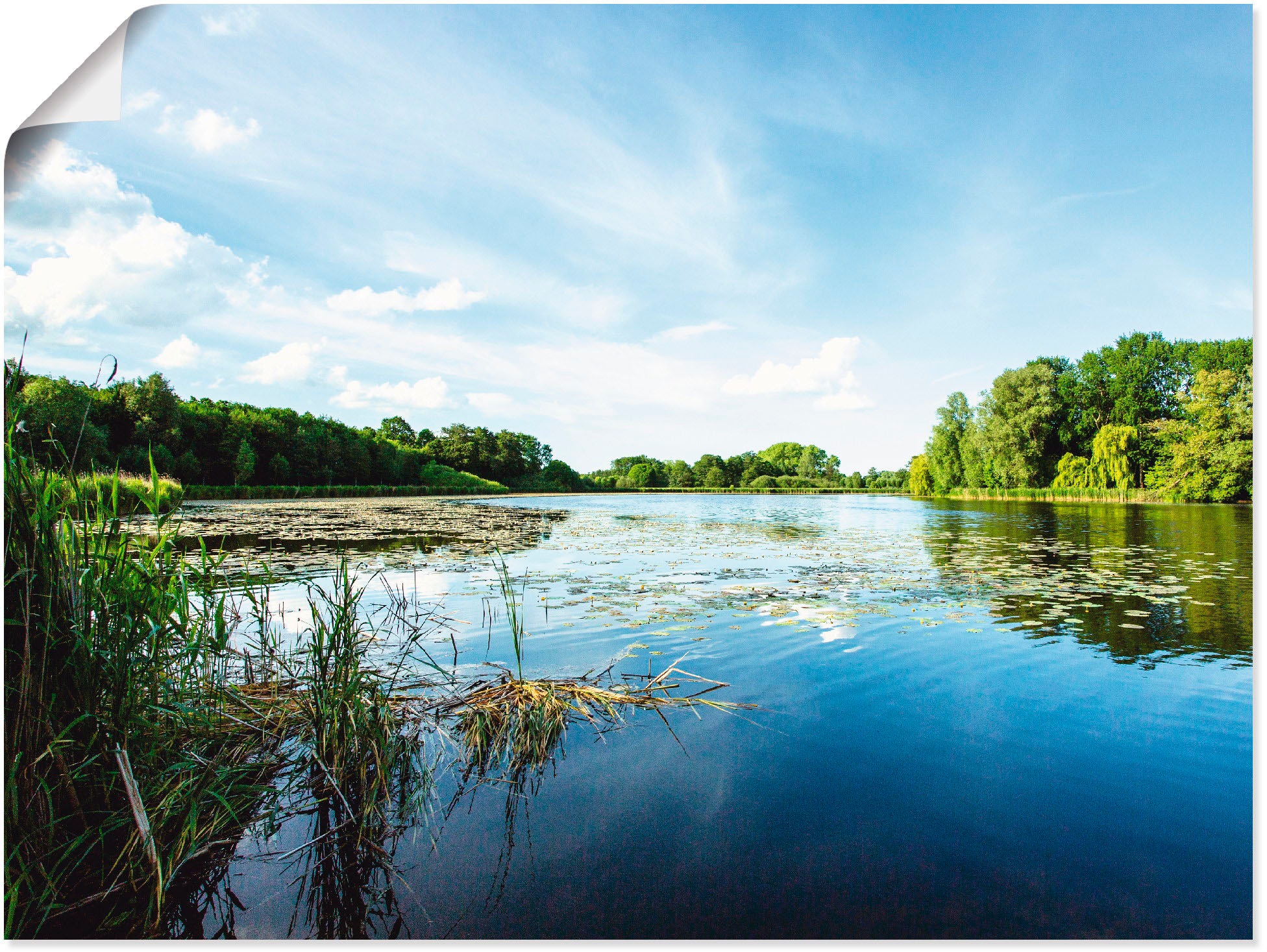 Image of Artland Wandbild »Idylle pur«, Gewässer, (1 St.), in vielen Grössen & Produktarten -Leinwandbild, Poster, Wandaufkleber / Wandtattoo auch für Badezimmer geeignet bei Ackermann Versand Schweiz