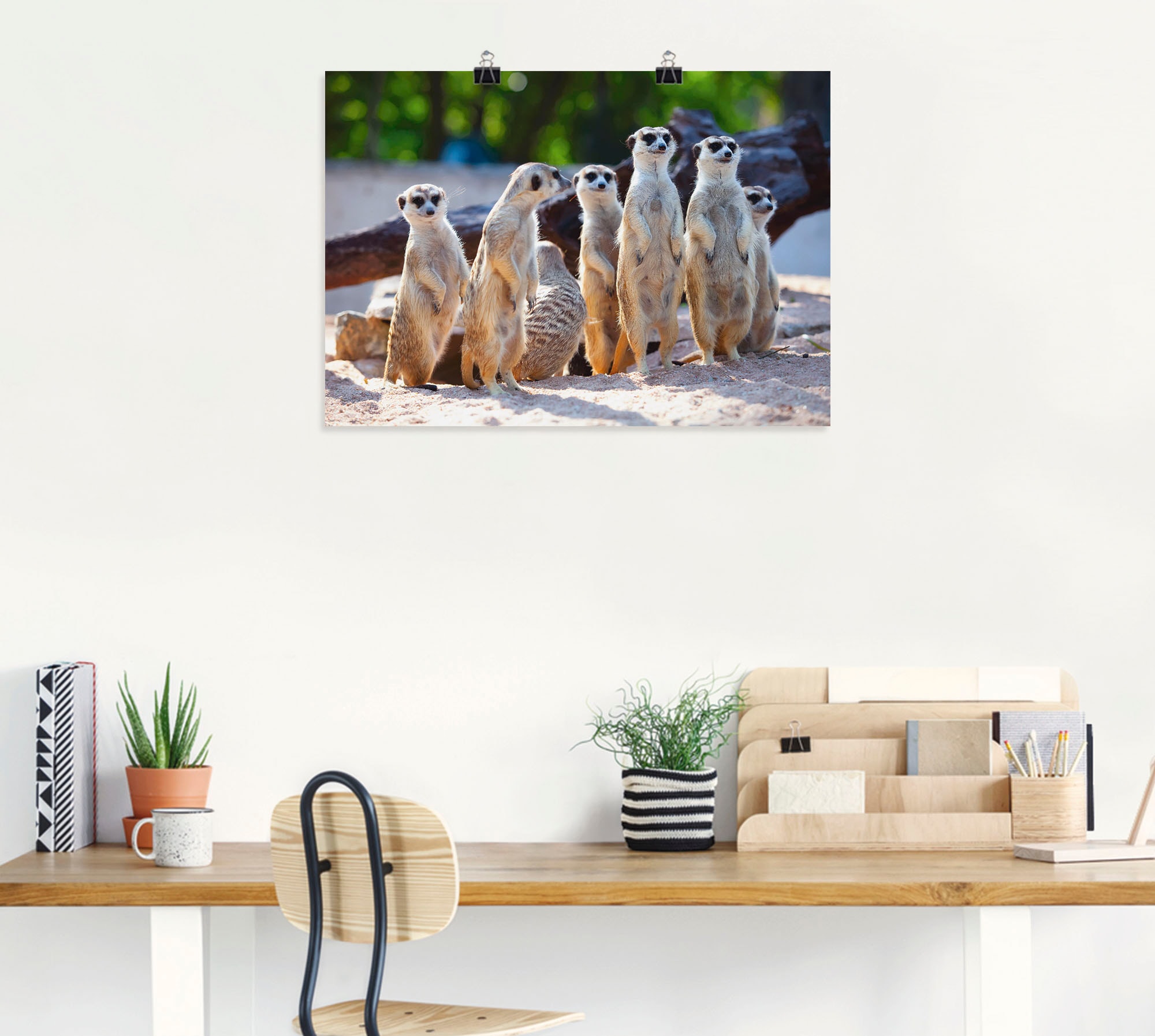 Artland Poster »Erdmännchenfamilie« 1 cuis tlg. ohne Rahmen