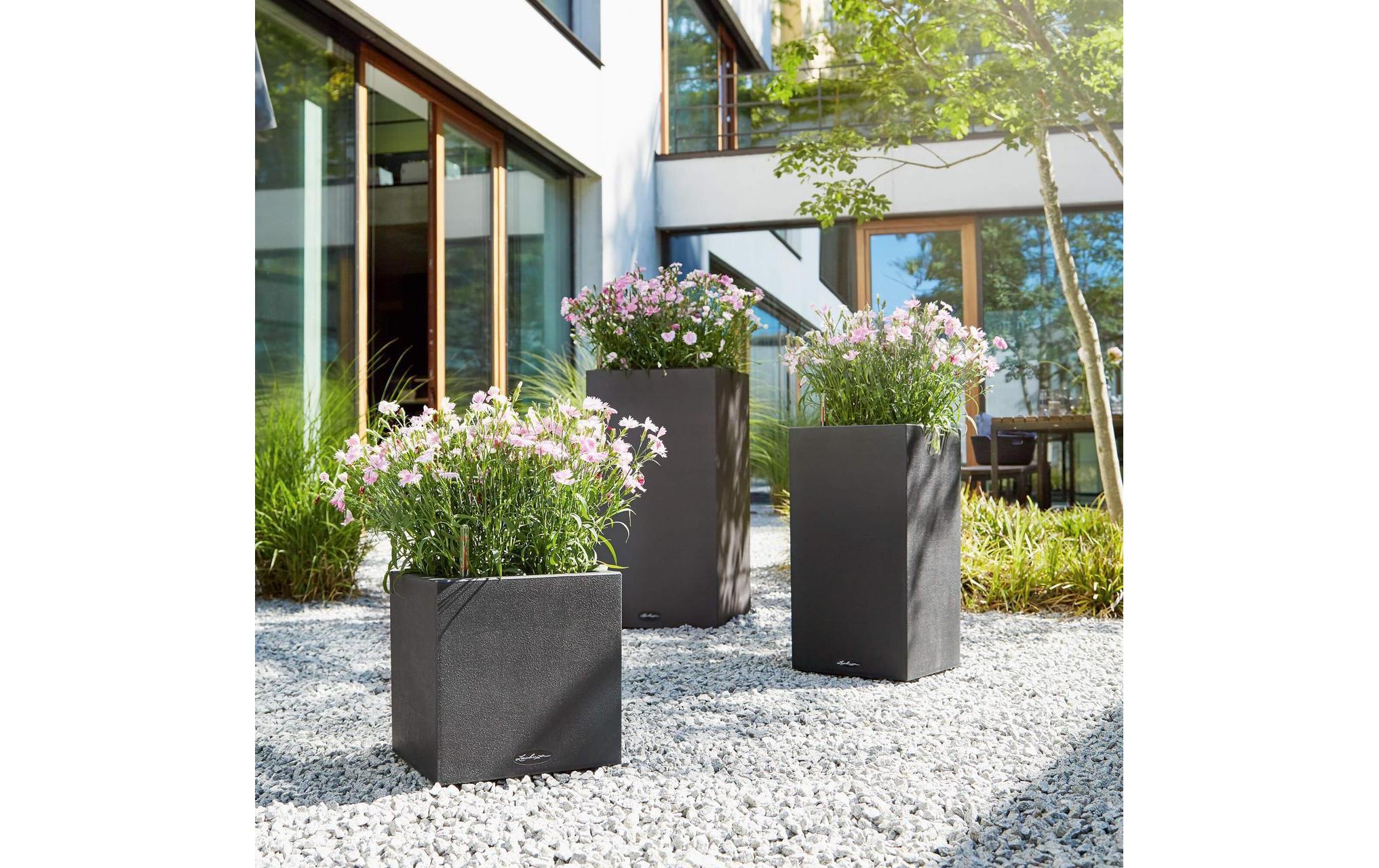 Blumentopf »Lechuza Canto Color High«