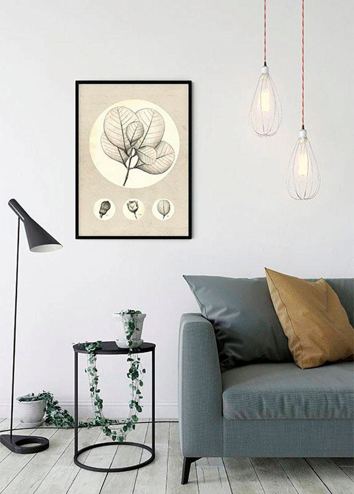 Komar Image »Transparent Leaf« 1 cuis tlg. Wandbild zur Dekoration - ohne Rahmen