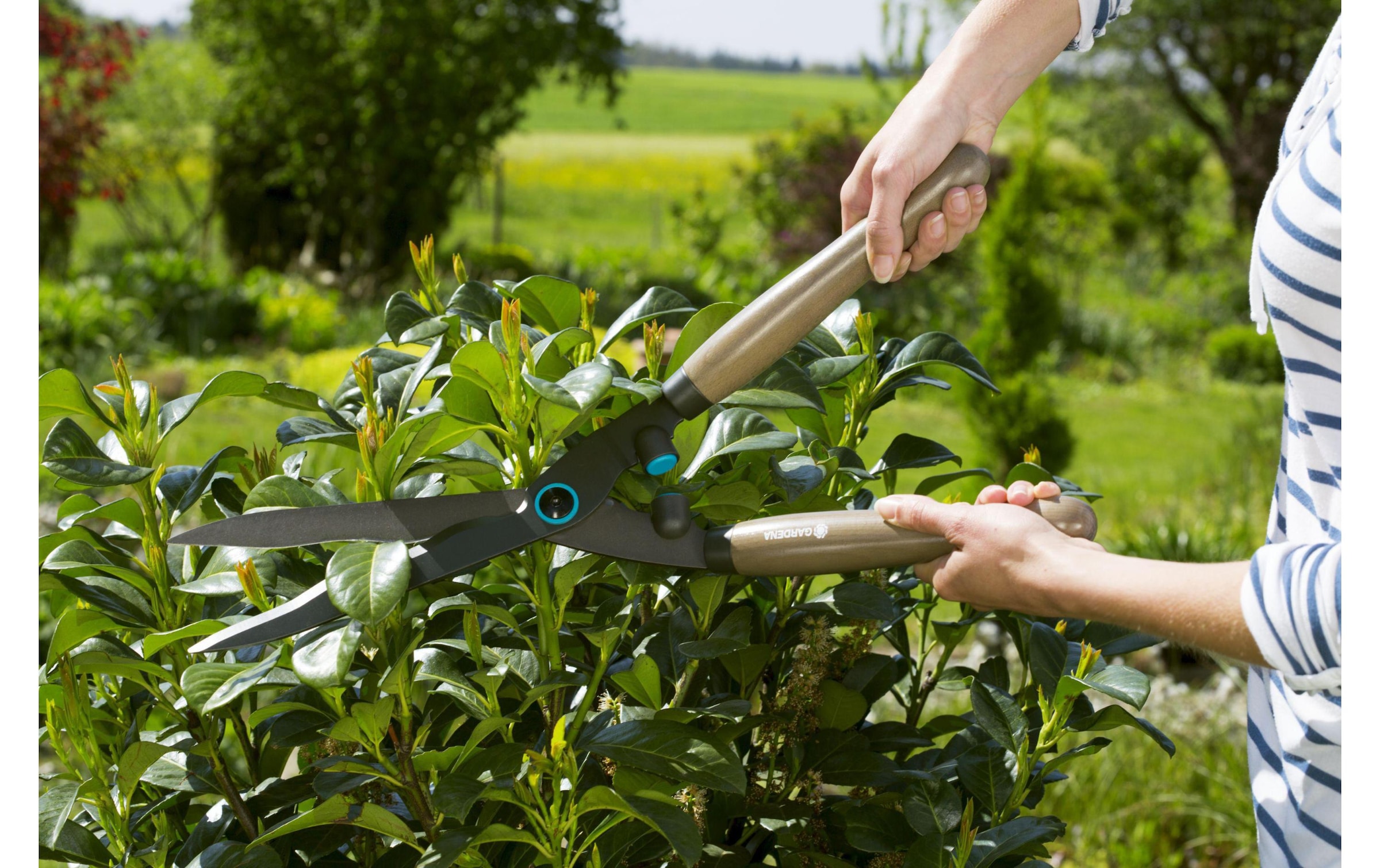 GARDENA Cisaille à haies »NatureCut«