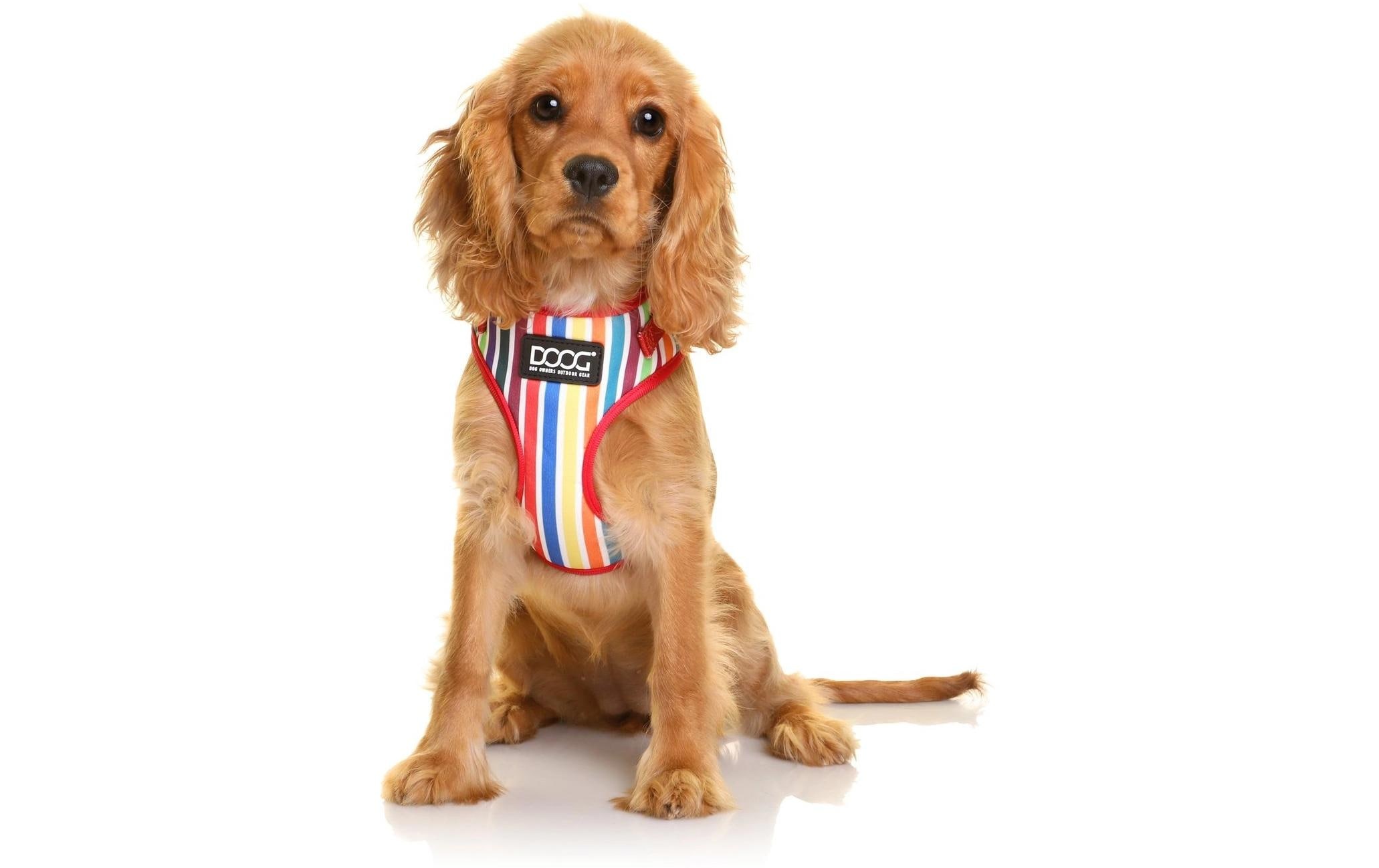 DOOG Hunde-Geschirr »Neoflex Scooby M Multicolor gestreift«