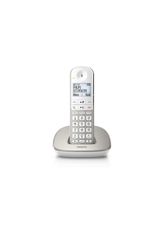 Festnetztelefon »Philips XL4901S Silver«