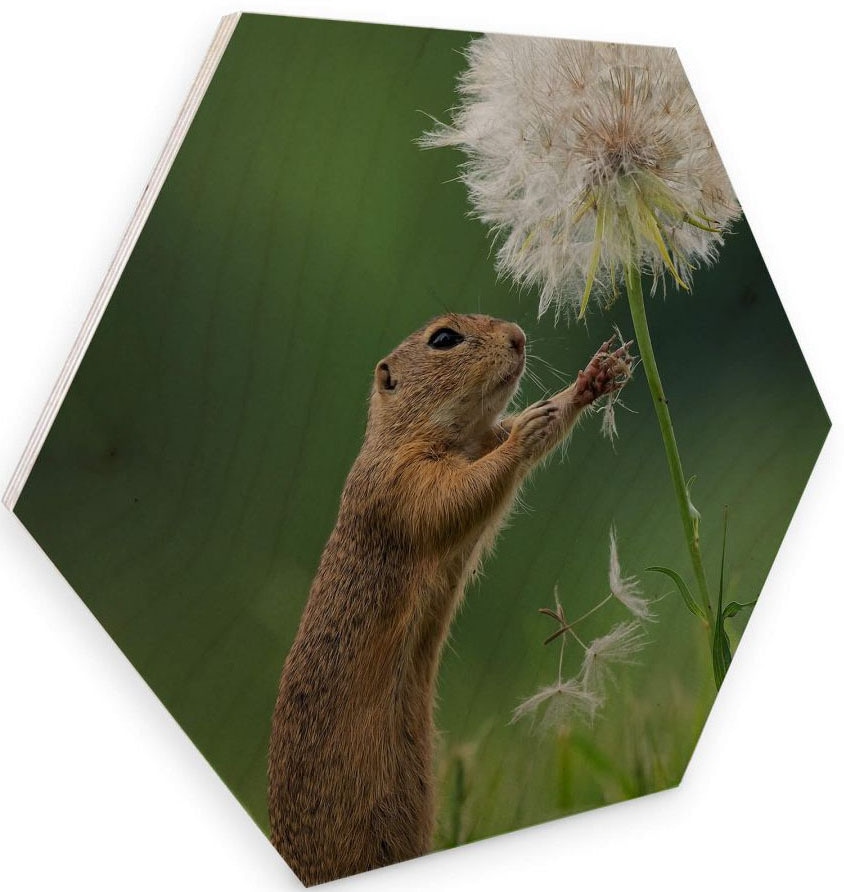 Holzbild bestellen (1 Blumen«, versandkostenfrei St.) ♕ Wall-Art Holzbild »Eichhörnchen