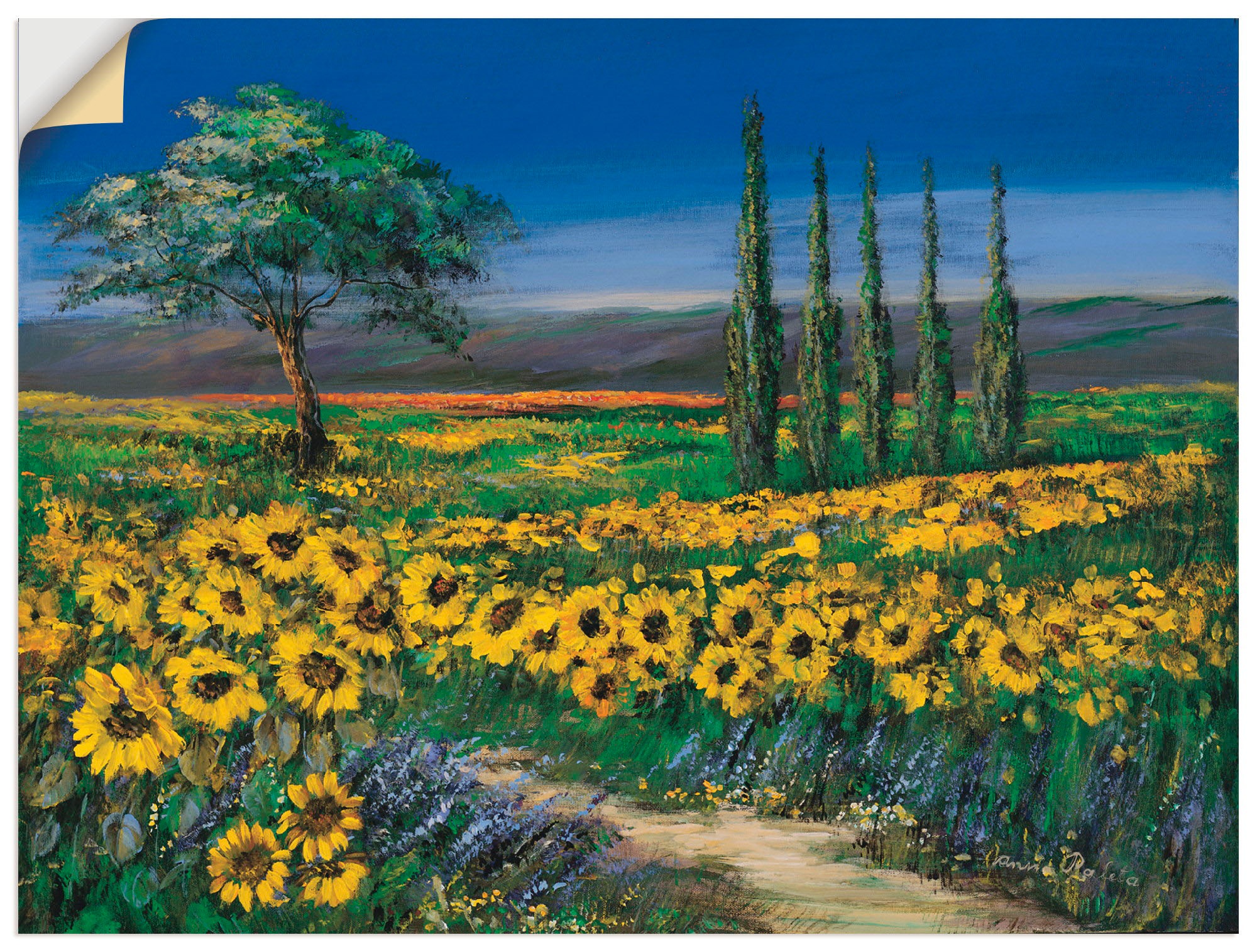 Image of Artland Wandbild »Sonnenblumenfeld«, Blumen, (1 St.), in vielen Grössen & Produktarten -Leinwandbild, Poster, Wandaufkleber / Wandtattoo auch für Badezimmer geeignet bei Ackermann Versand Schweiz