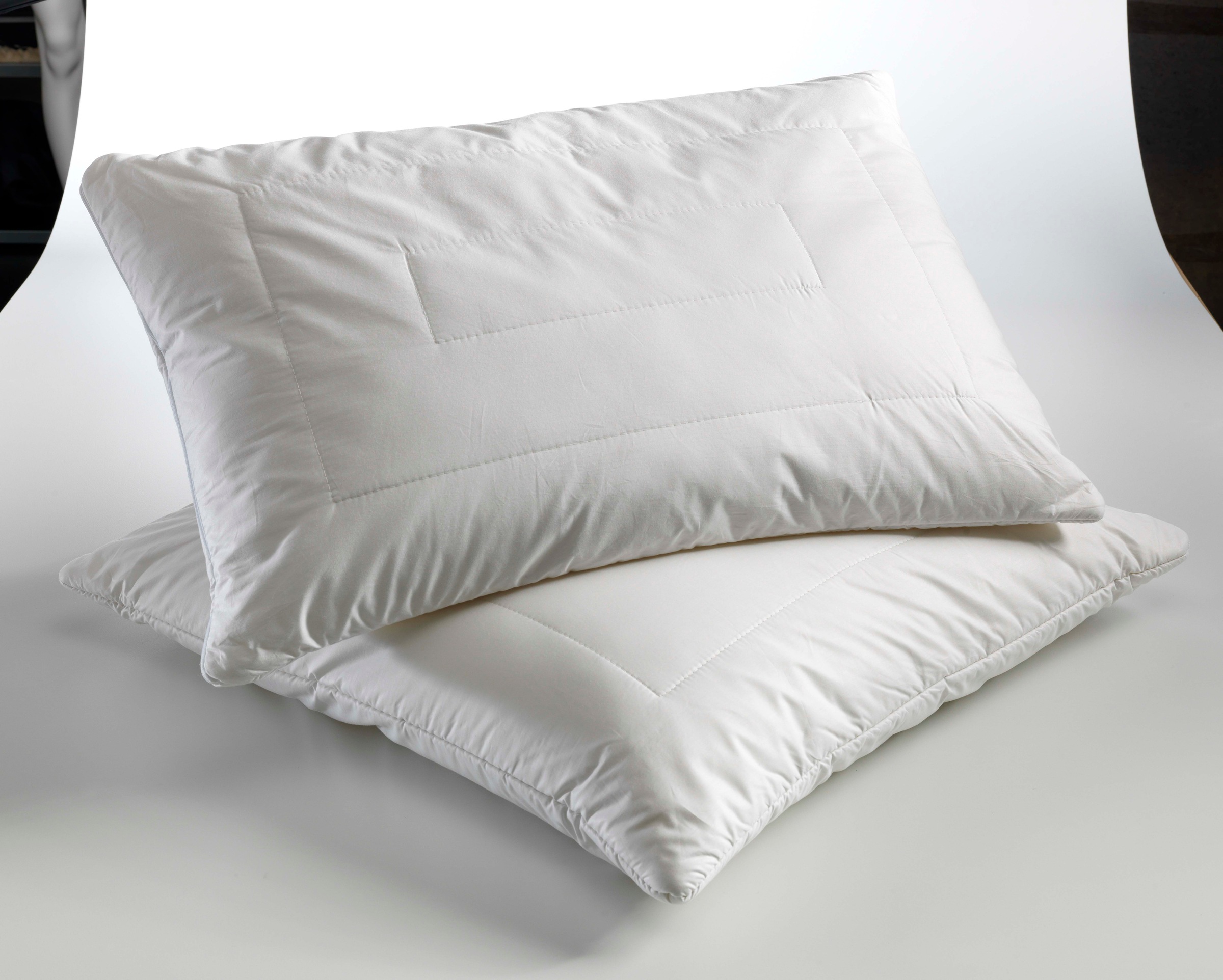 Image of Kyburz Naturfaserkissen »Bambus/Mais«, Füllung: 80% Bambus-, 20% Maisfasern Kern: 100% Polyester Hohlfaserbällchen, Bezug: 100% Baumwoll-Feinbatist veredelt mit Aloe Vera, (1 St.) bei Ackermann Versand Schweiz