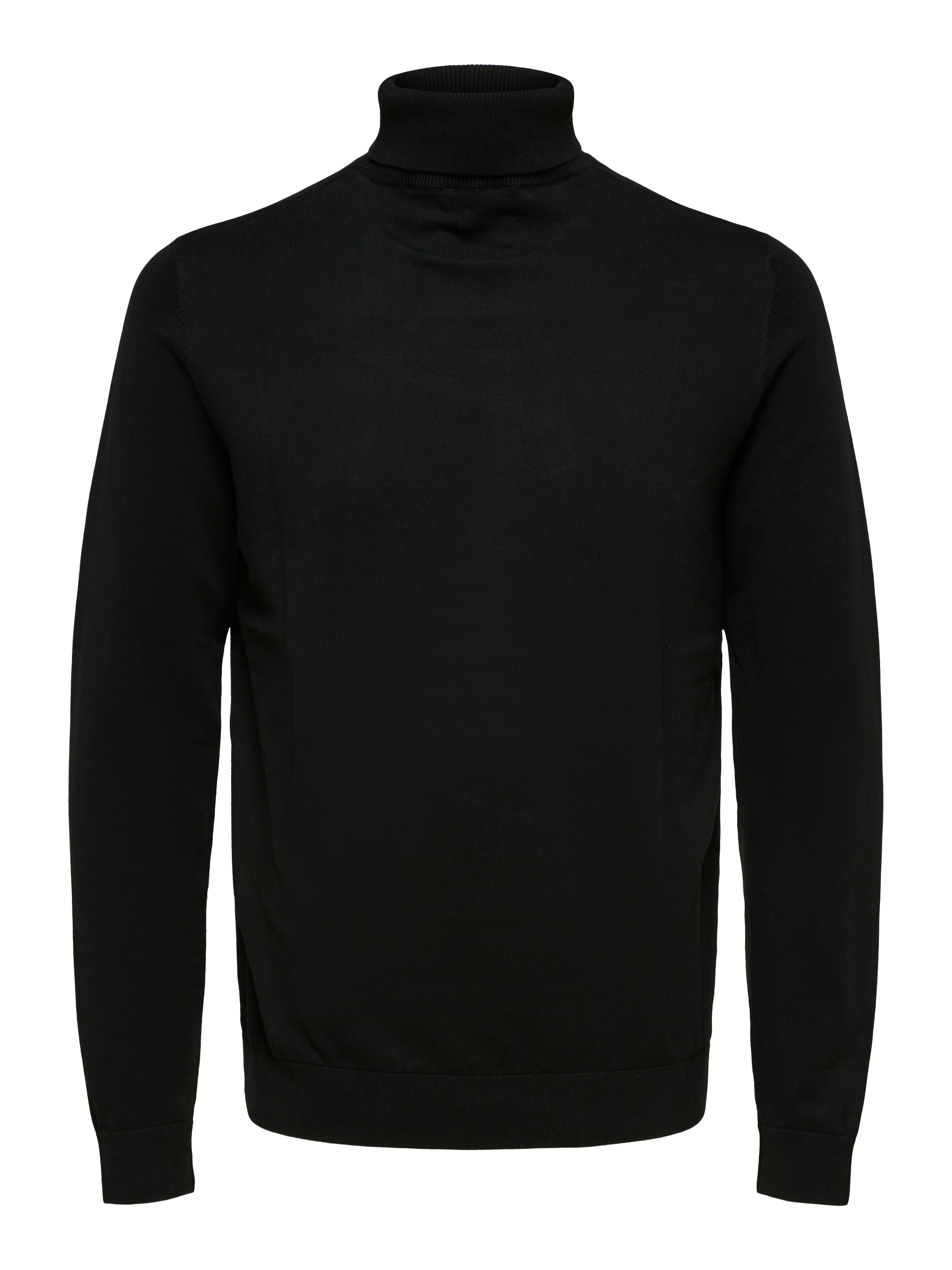 SELECTED Pull à col roulé »SLHBERG ROLL NECK NOOS«
