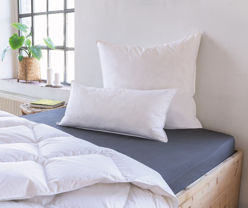 Image of Schiesser Federkissen »Schiesser Feder-Daunen-Kopfkissen«, (1 St.) bei Ackermann Versand Schweiz