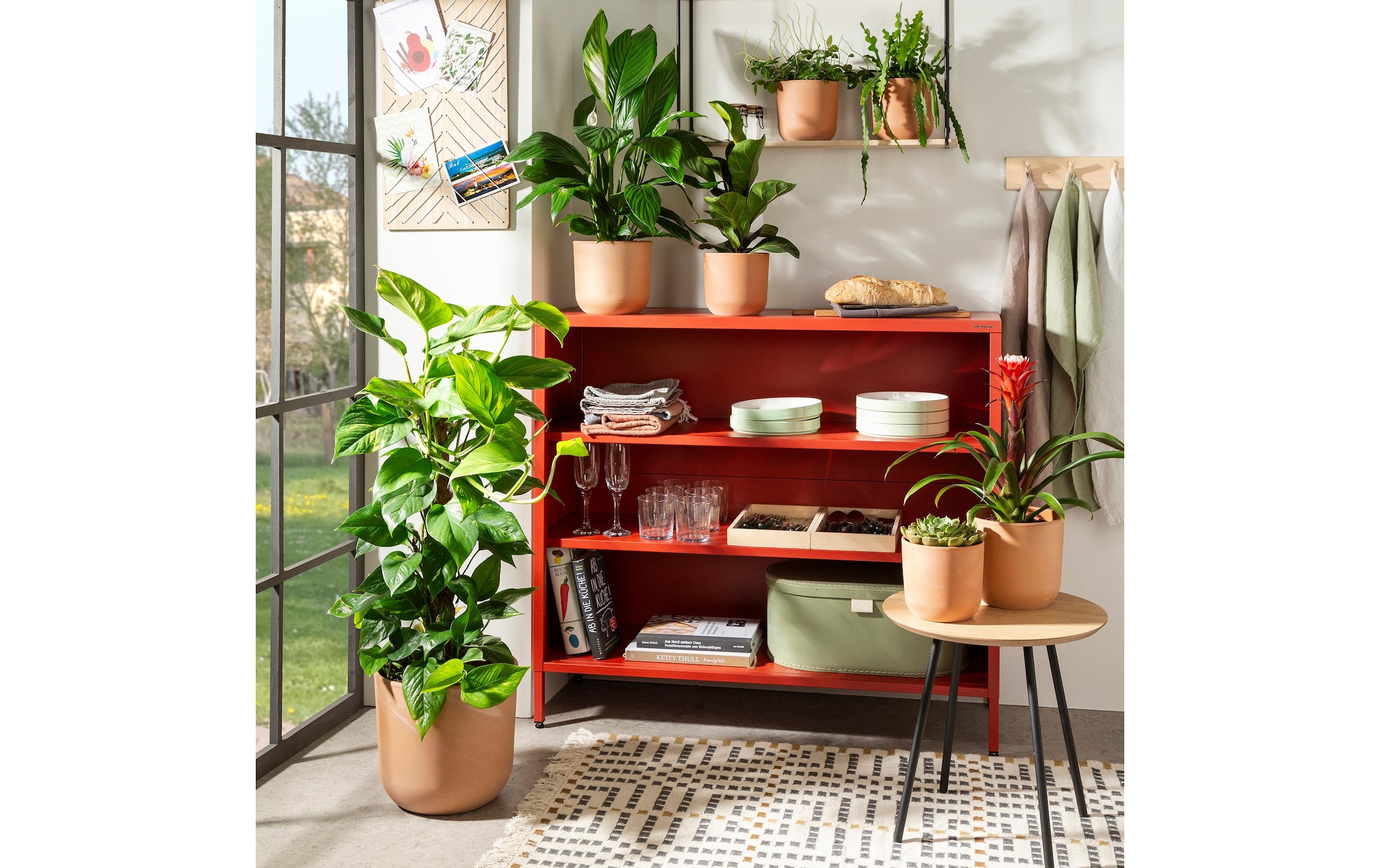Scheurich Blumentopf »Rosso 982«