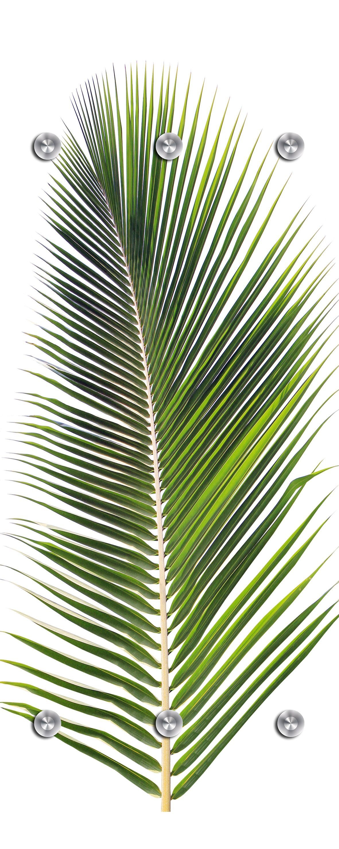 Image of queence Garderobenleiste »Palme«, mit 6 Haken, 50 x 120 cm bei Ackermann Versand Schweiz