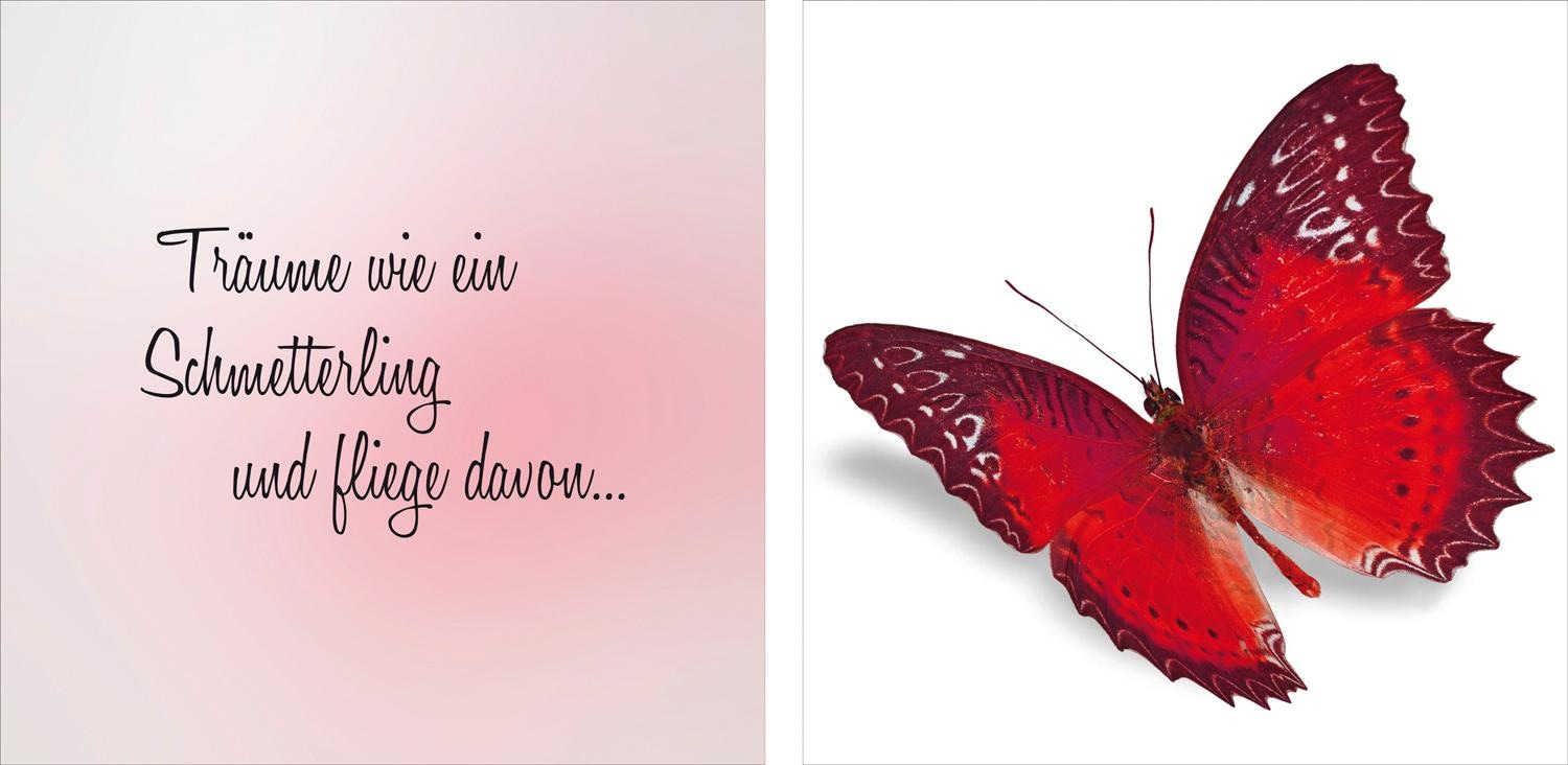 Image of queence Leinwandbild "flieg davon" Kunst Modern Schmetterlinge Schriftzug Schriftzüge Spa Spa Bilder Sprüche Sprüche & Texte Tiere Set, Premium-Leinwandstoff, Handarbeit aus Deutschland, Spruch, 2er Set