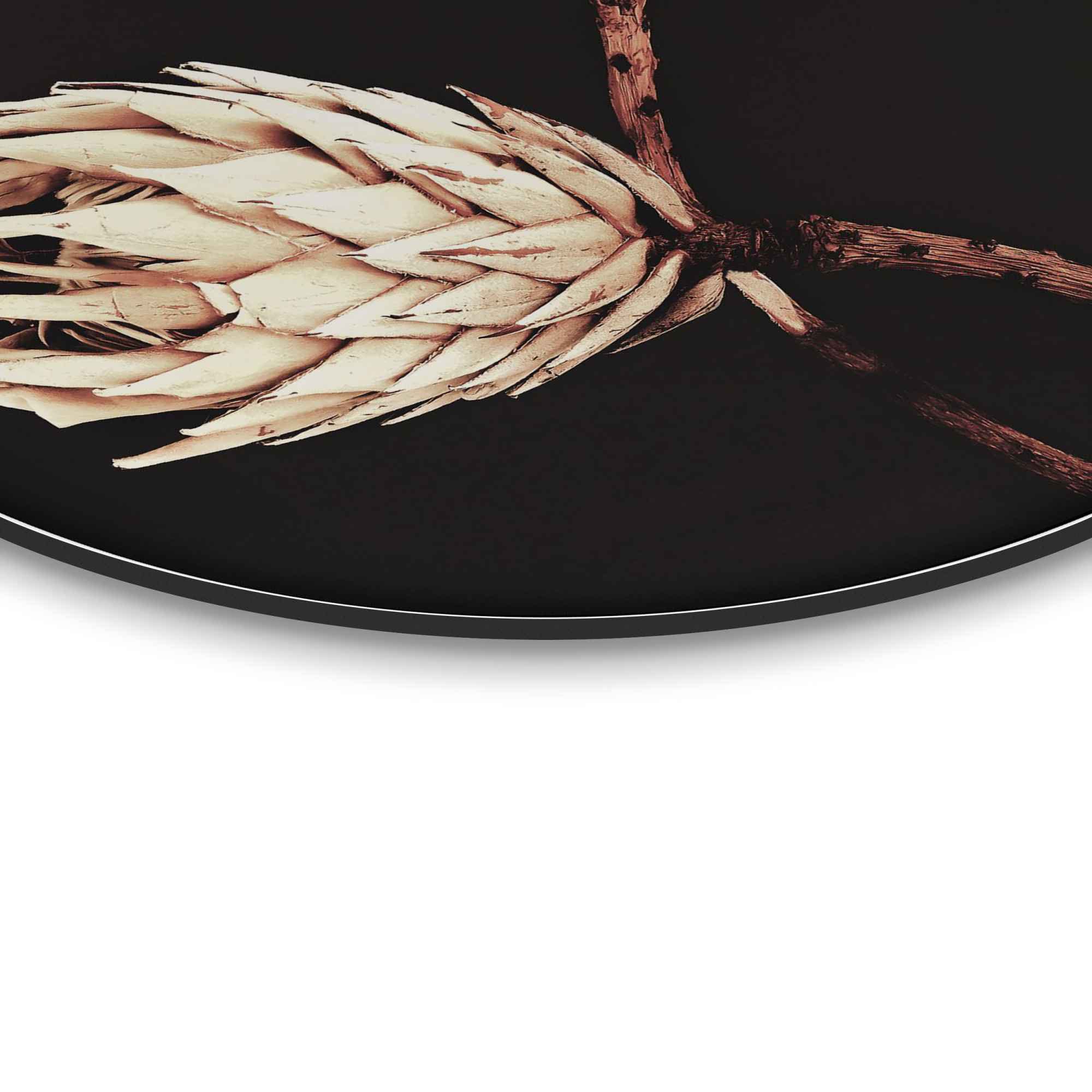 Reinders! Wandbild »Wandbild Trockenblumen Exotisch - Vintage - Protea«, Blumen, (1 St.)