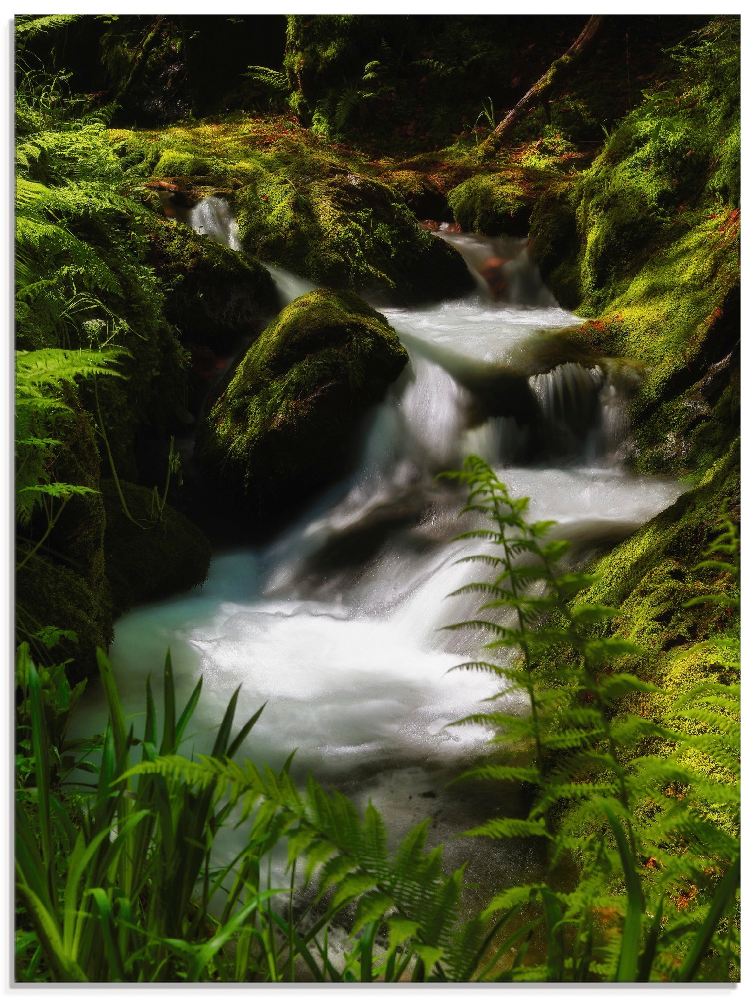 Image of Artland Glasbild »Zauberbach«, Gewässer, (1 St.) bei Ackermann Versand Schweiz