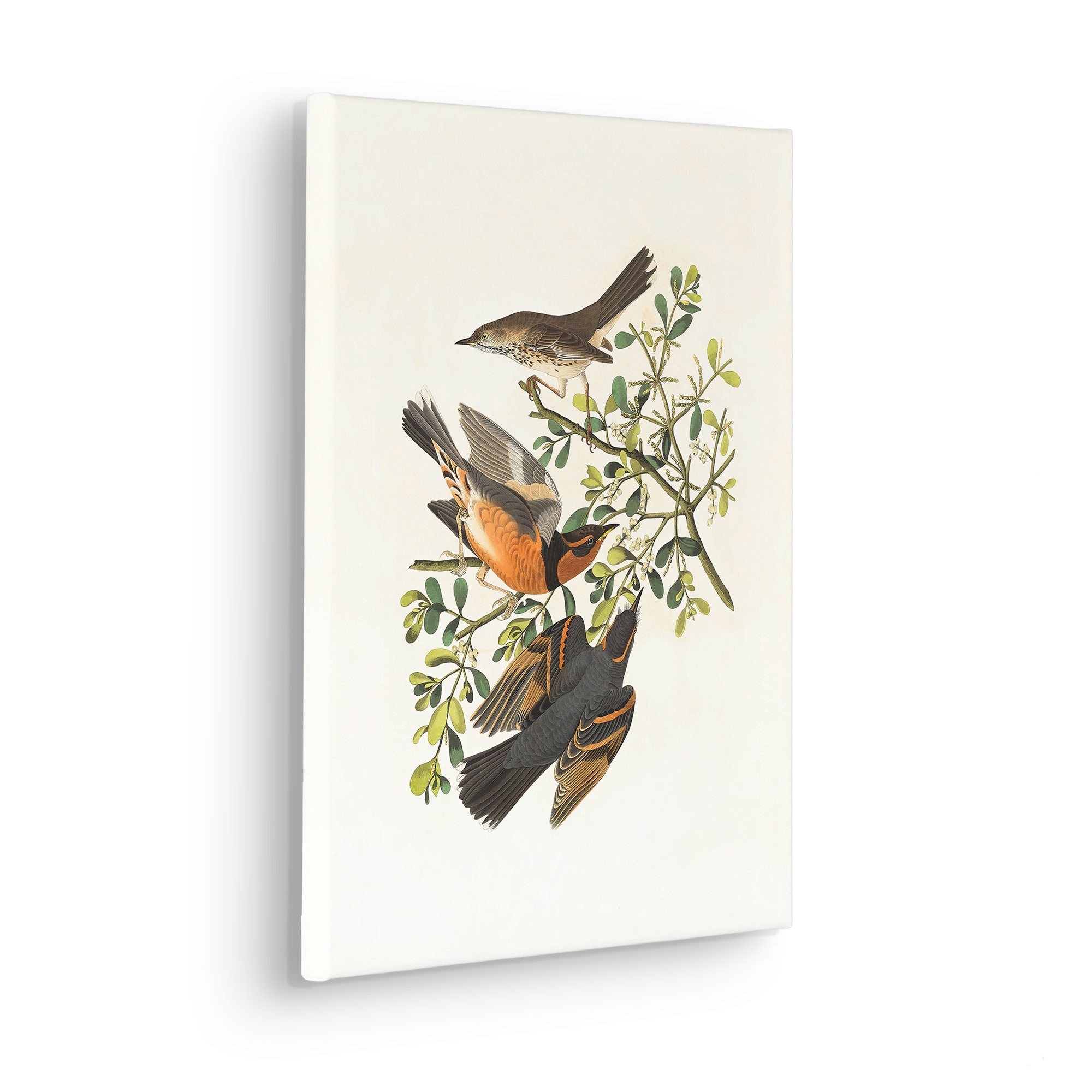 Komar Leinwandbild »Heidi - Grösse 30 x 40 cm« Natur 1 Stk. tlg. Keilrahmenbild mi Echtholzrahmen